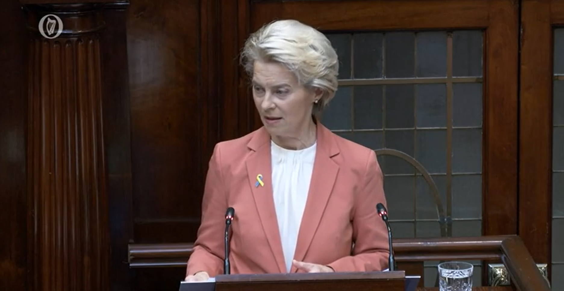 European Commission President Ursula von der Leyen addresses the Joint Houses of the Oireachtas in the Dáil chamber