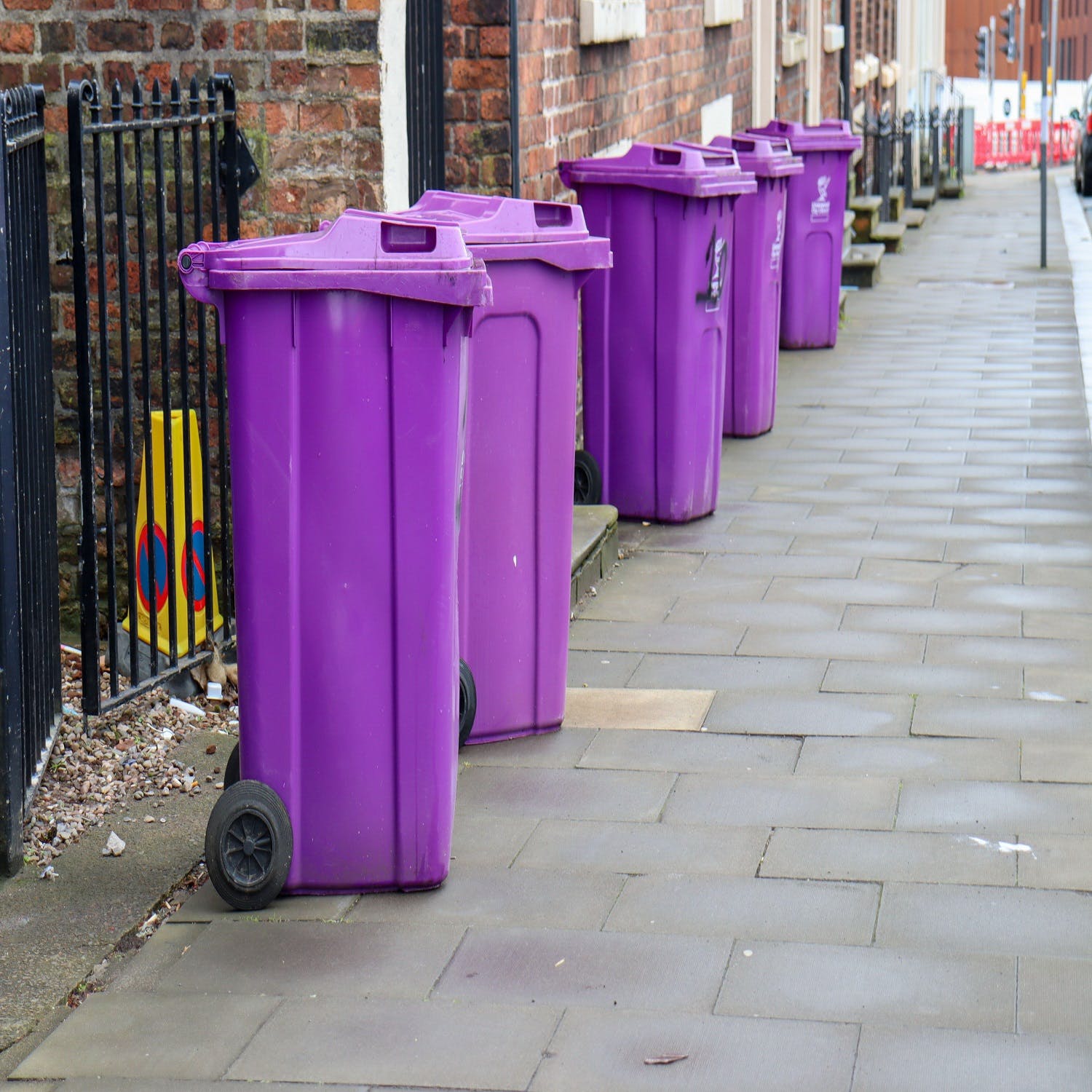 The search for the 2002 Sulo purple wheelie bin Newstalk