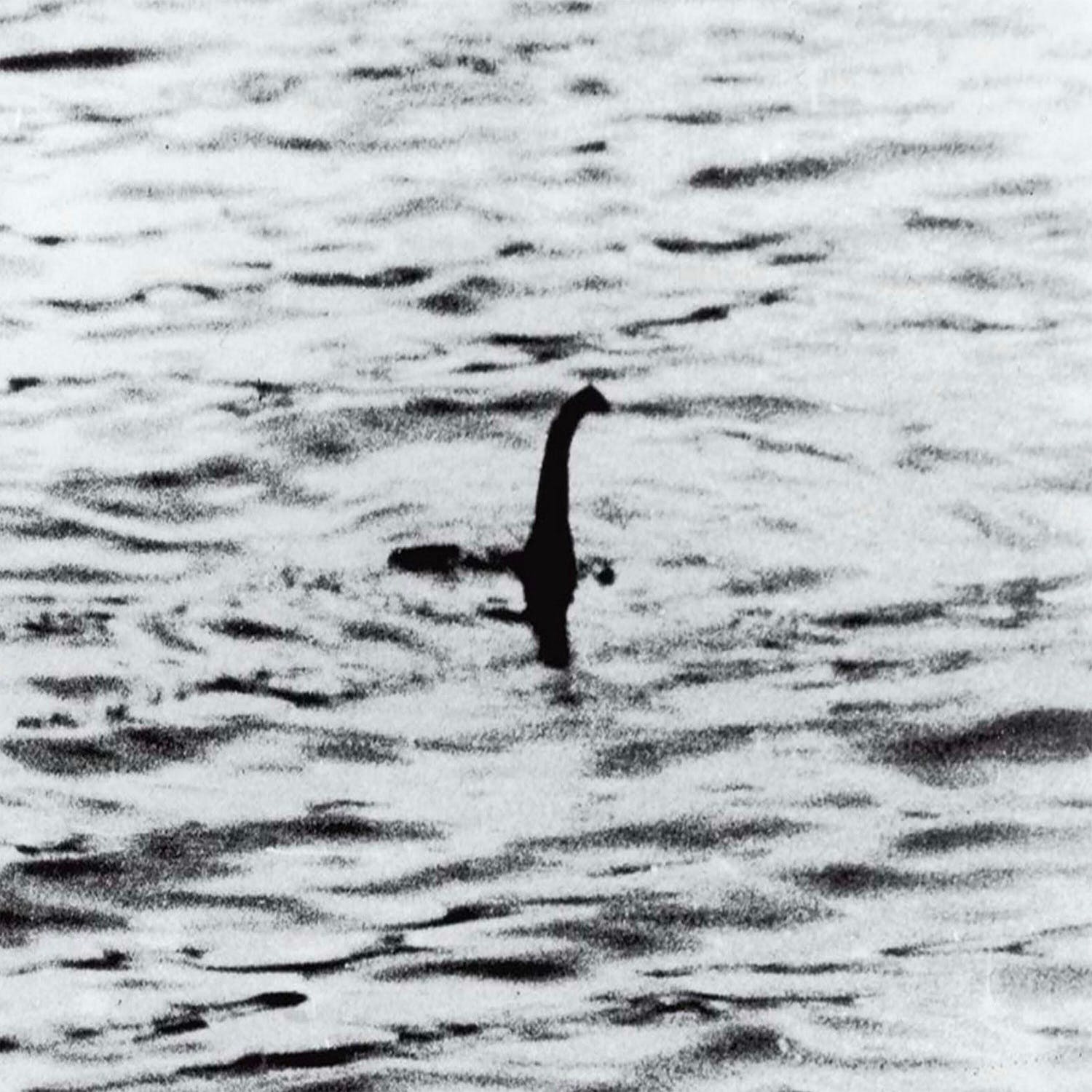 Sightings Of The Loch Ness Monster | Newstalk