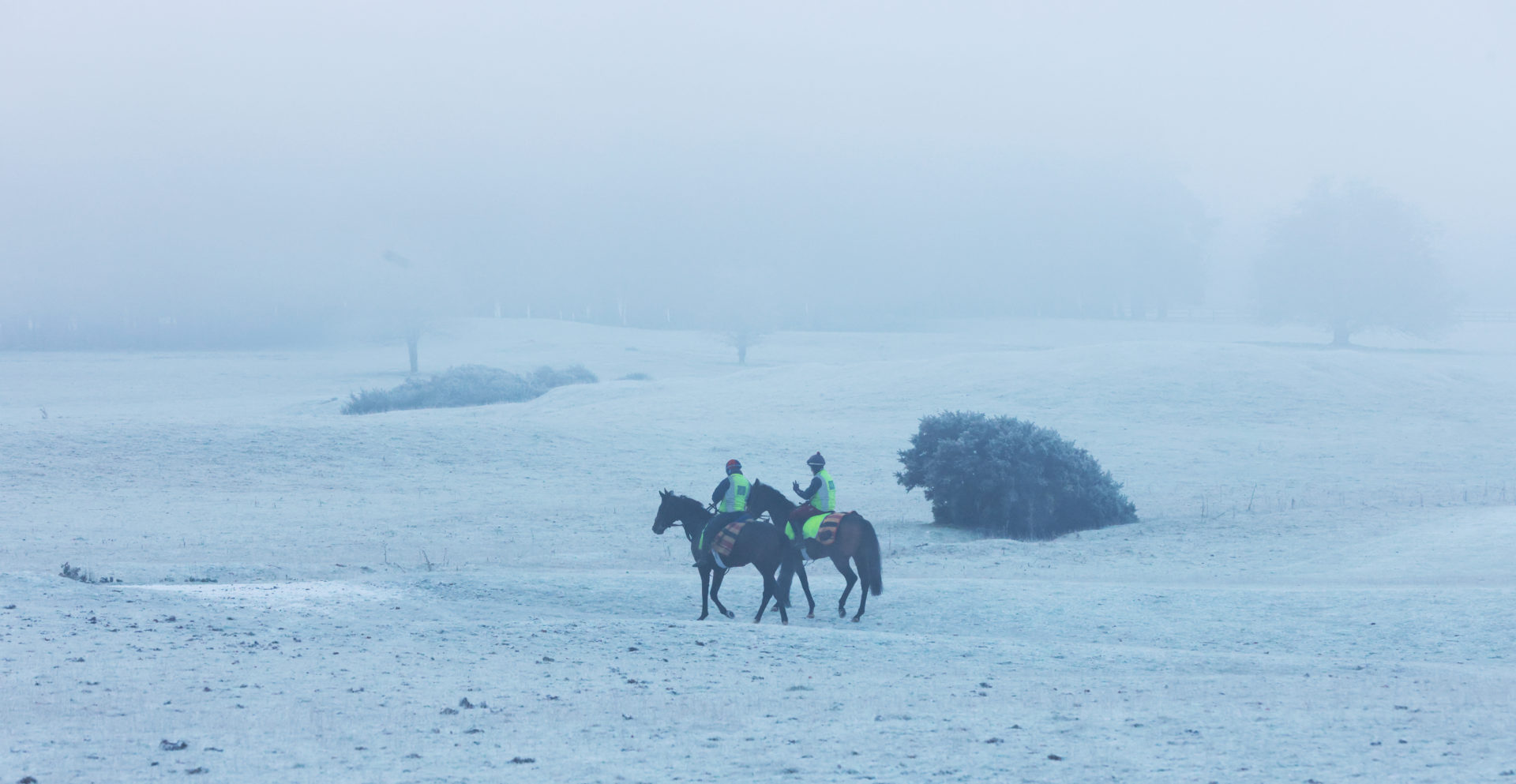 Racehorses and riders, shrouded in fog, with frost and and snow underfoot on the Curragh Plains in County Kildare, 09-12-2022. Image: Eamonn Farrell/RollingNews
