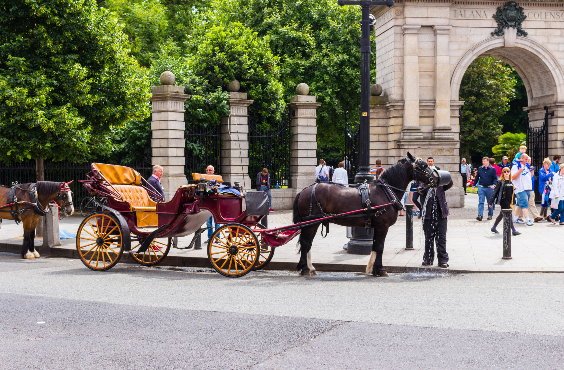 Horse carriage drivers 'need to get real men’s jobs' Newstalk