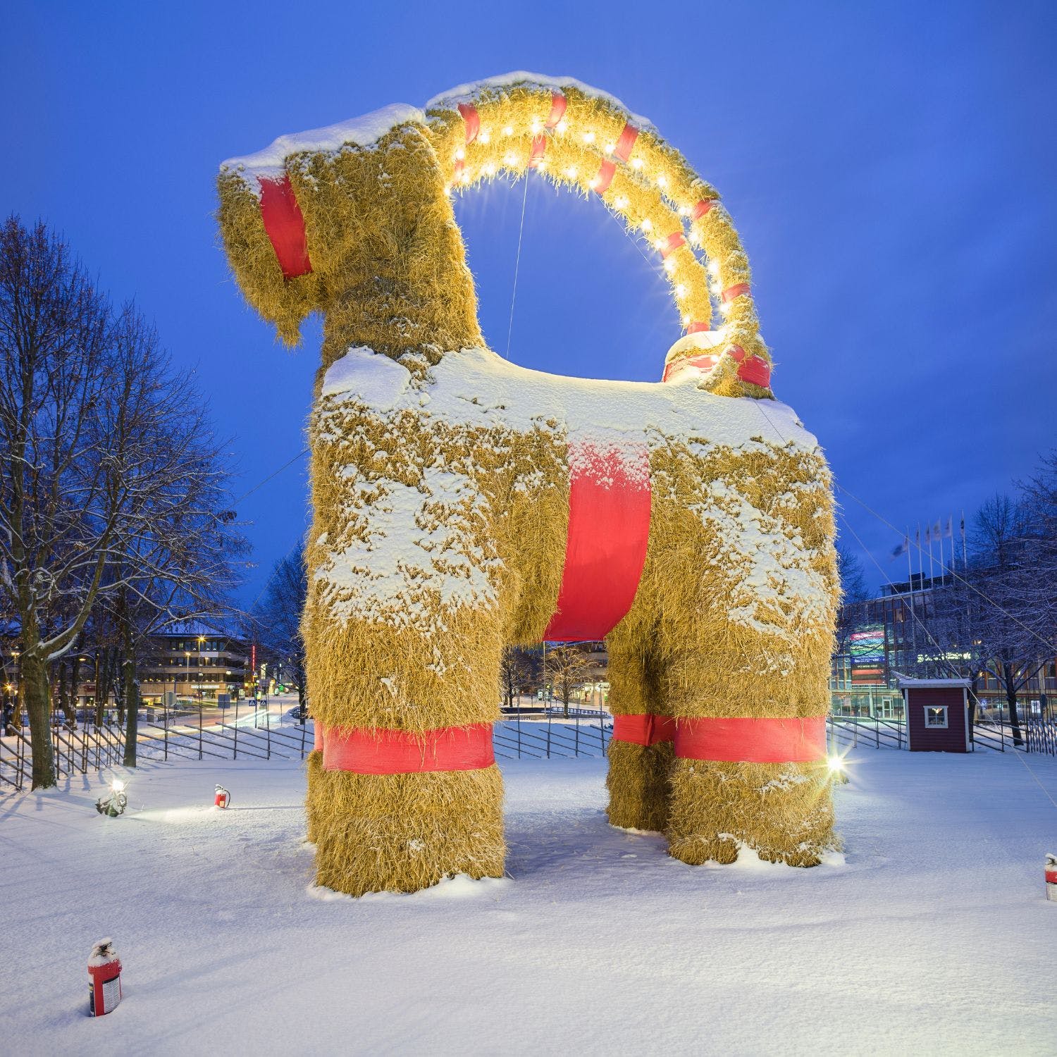 Will the Gävle Goat survive this Christmas? Newstalk
