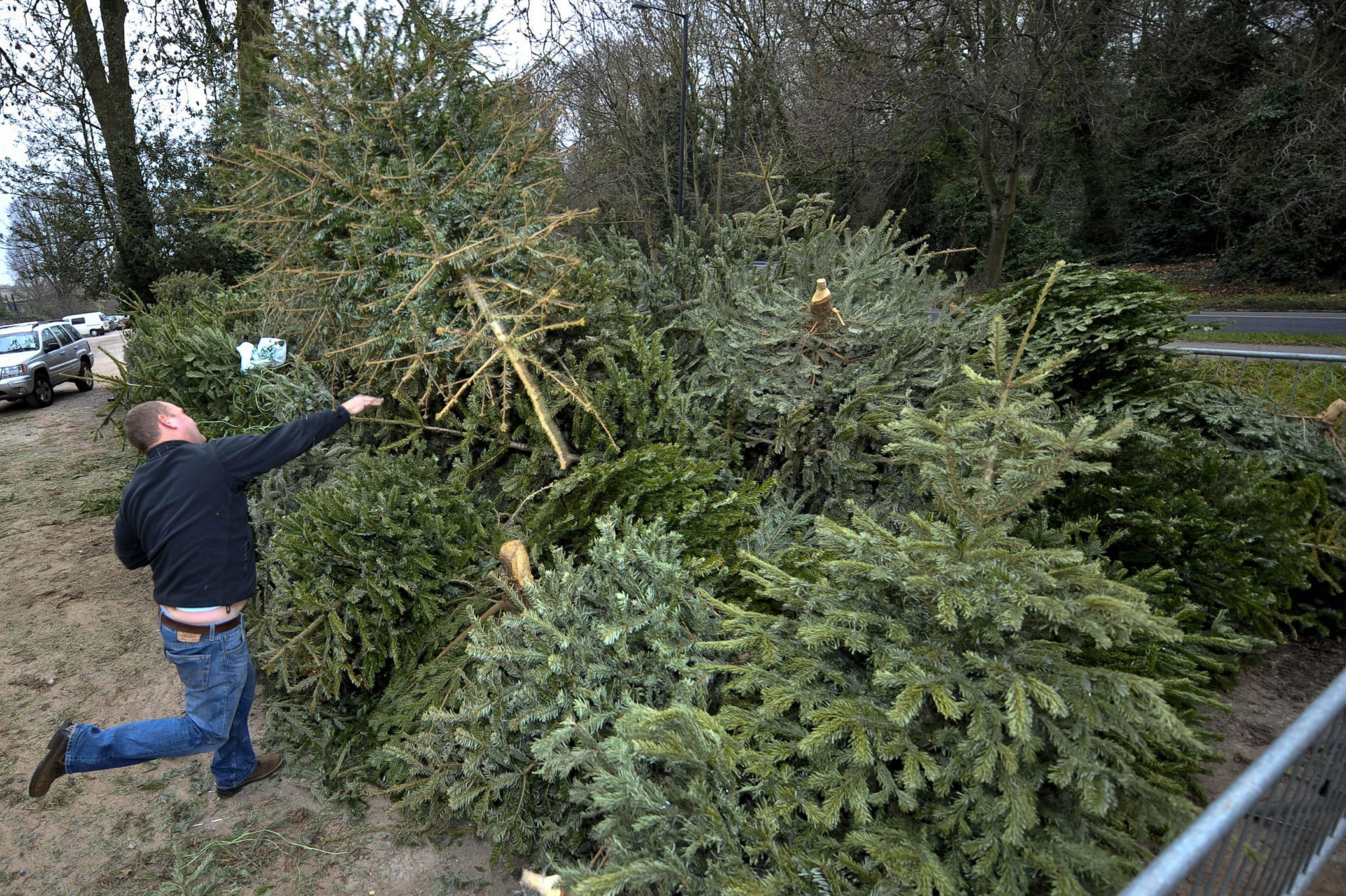 'It’s the good luck I need' why some keep their Christmas tree up