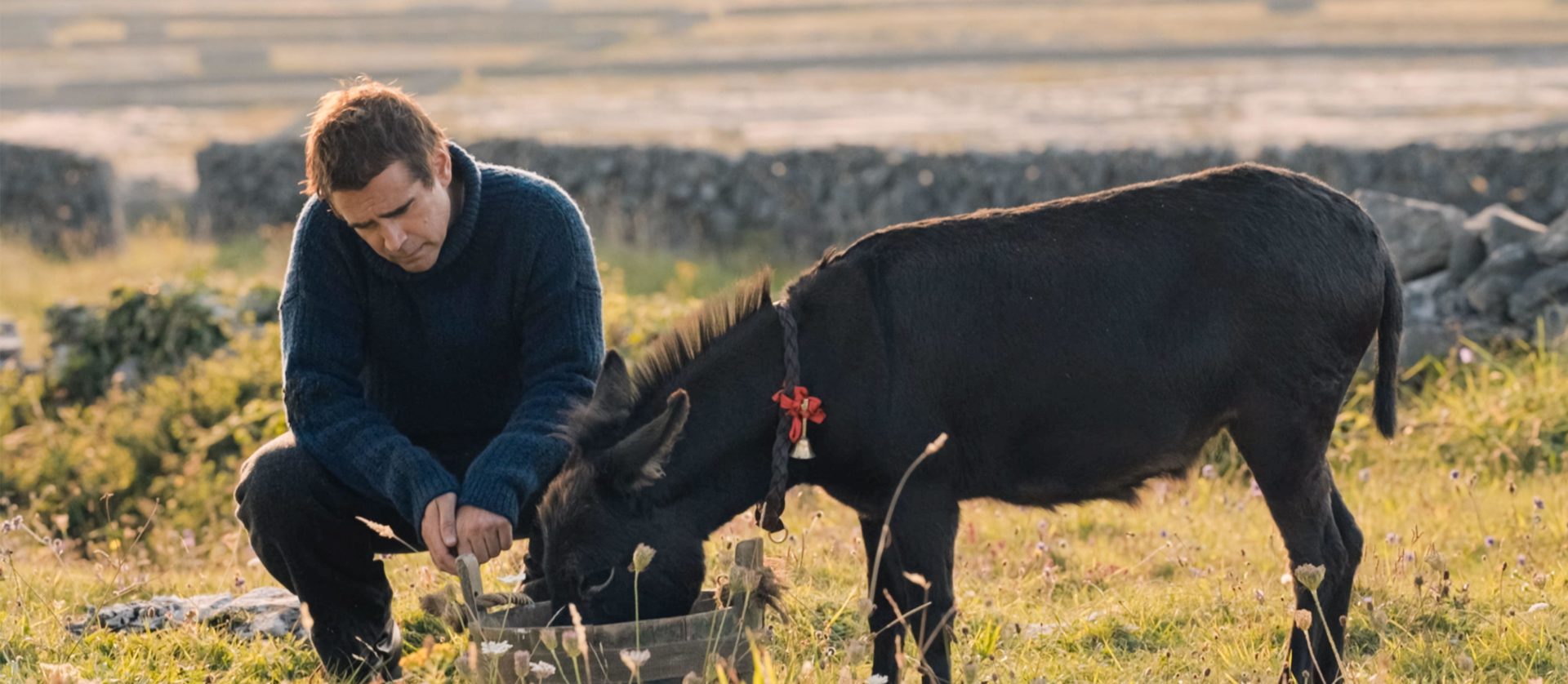 Colin Farrell and Jenny the Donkey in the Banshees of Inisherin.