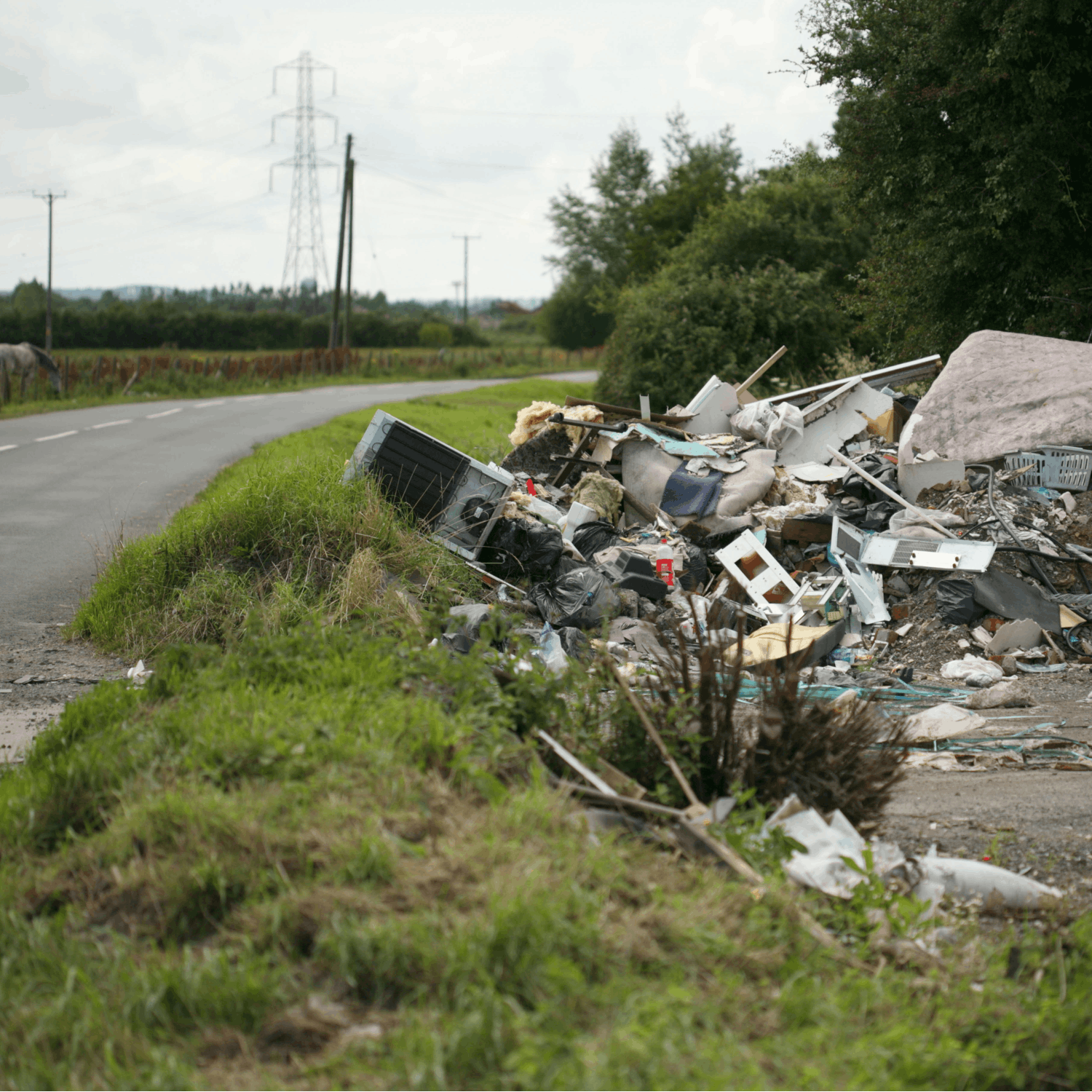 Utter rubbish the non payment of illegal dumping fines Newstalk