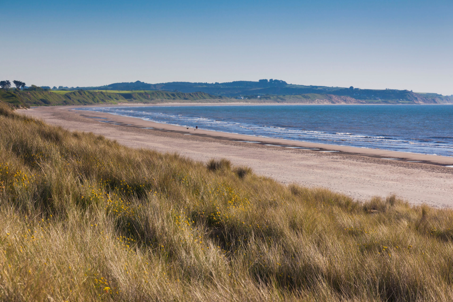 Curracloe Beach in Co Wexford, seen in this June 2016 file photo, was made famous as a stand-in for Omaha Beach in the film 'Saving Private Ryan'. 