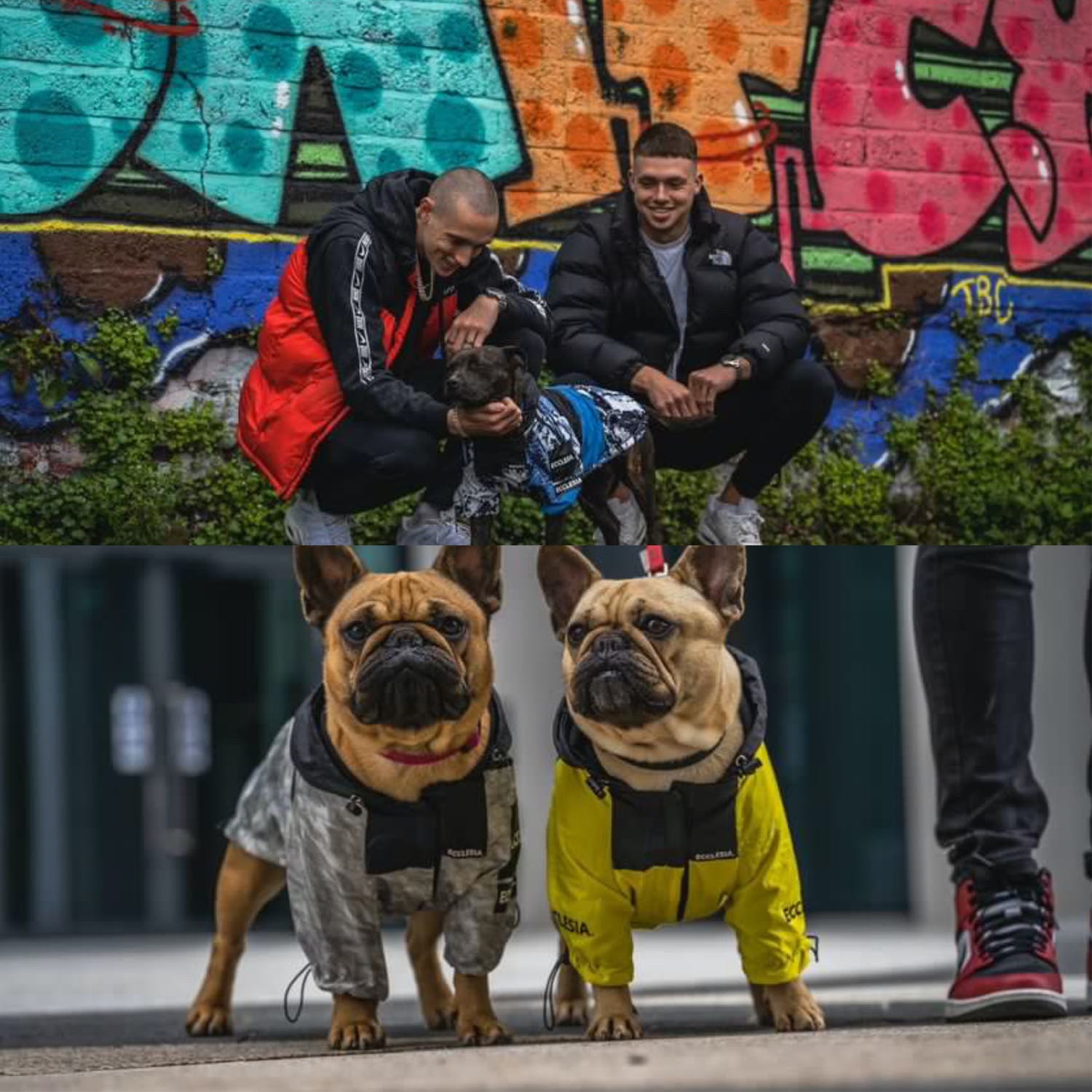 Meet The Cork Lads Making Streetwear For Dogs