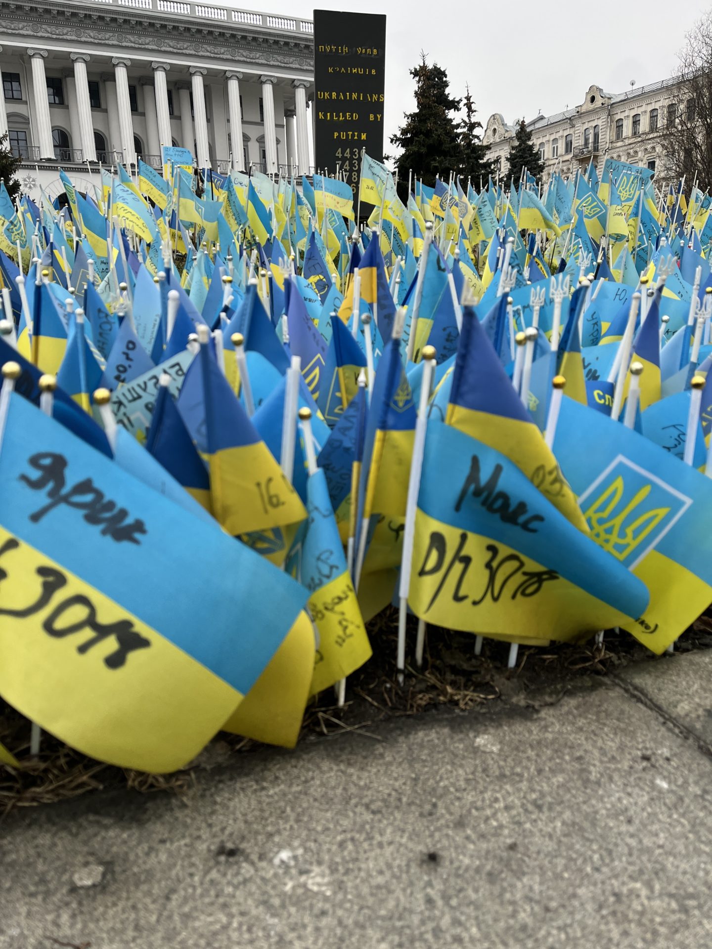 Ukraine flags in memoriam to the dead in Kyiv. Image: Aisling Moore/Newstalk