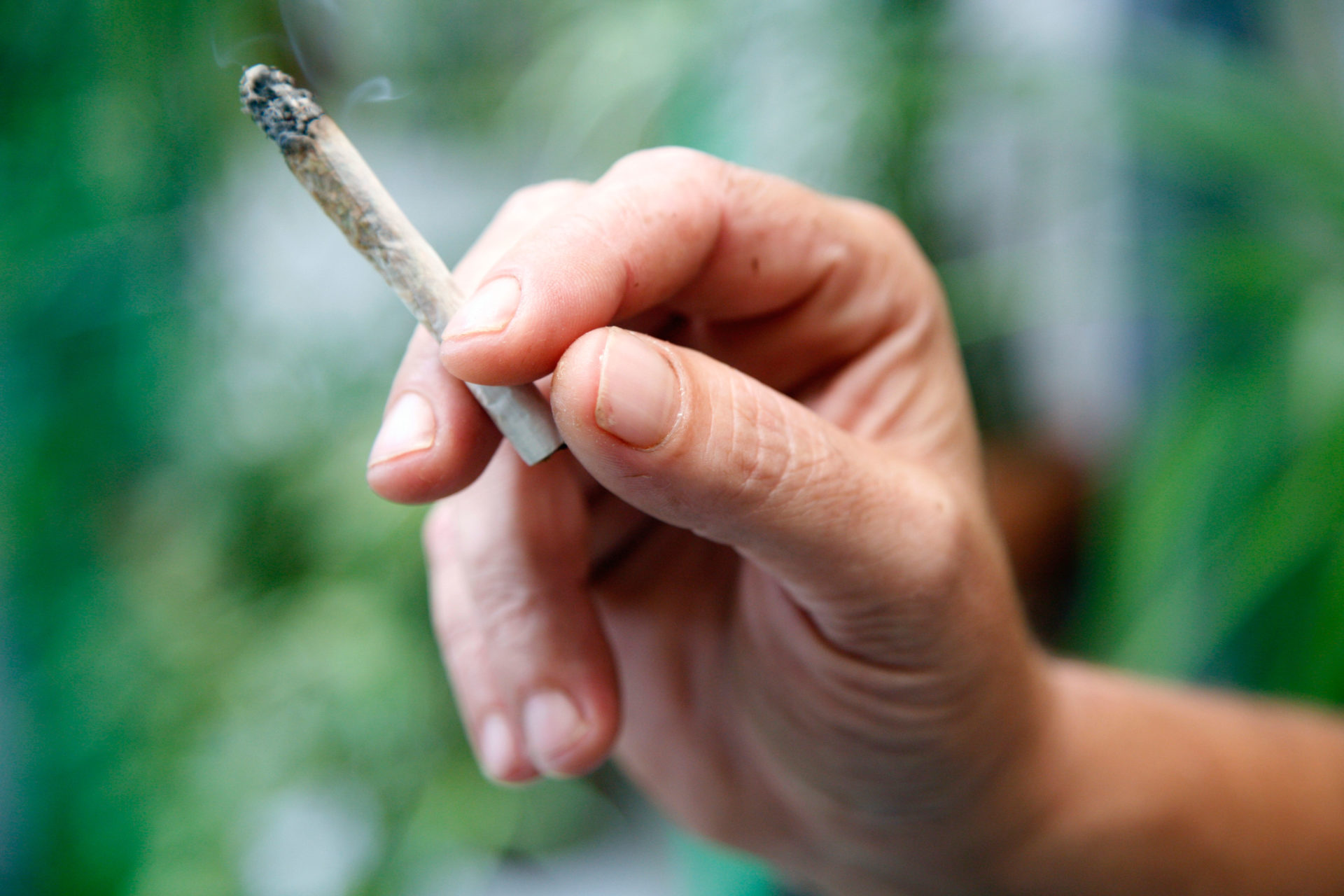 Criminalisation of cannabis leads people to hard drugs - former addict - Vimarsana News