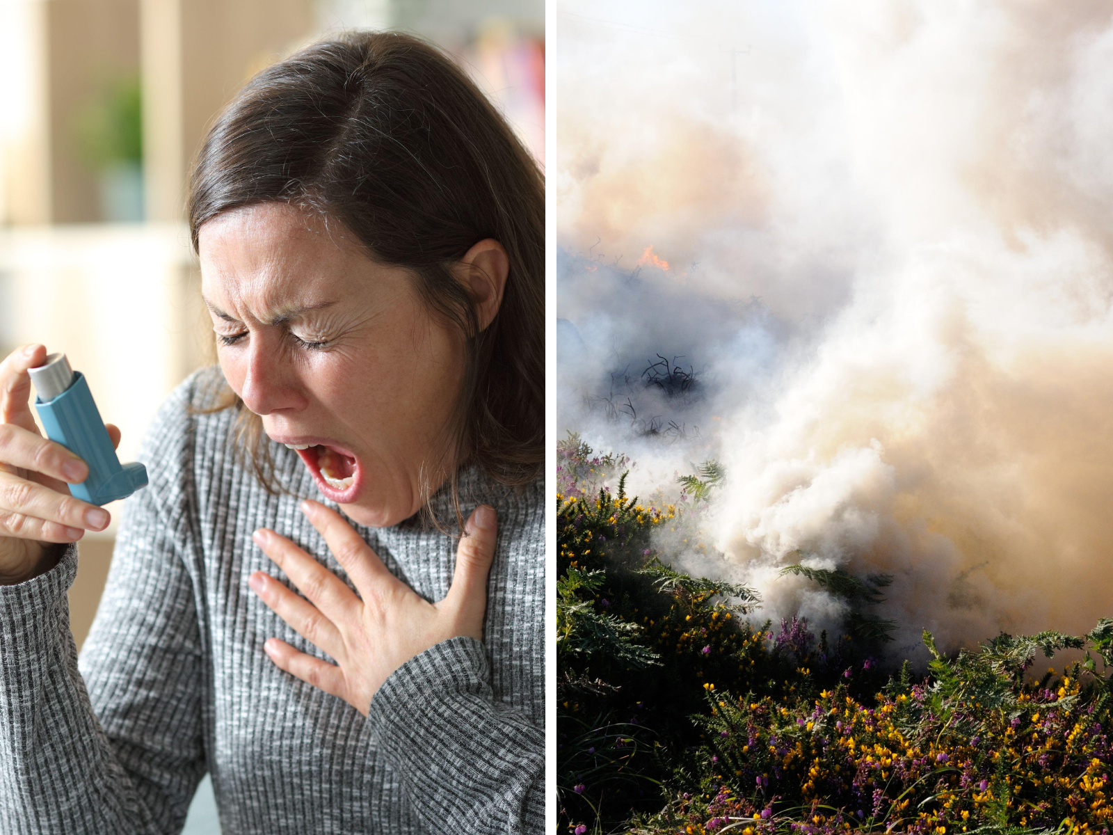Asthmatic warns gorse burning damages her heal - Vimarsana News