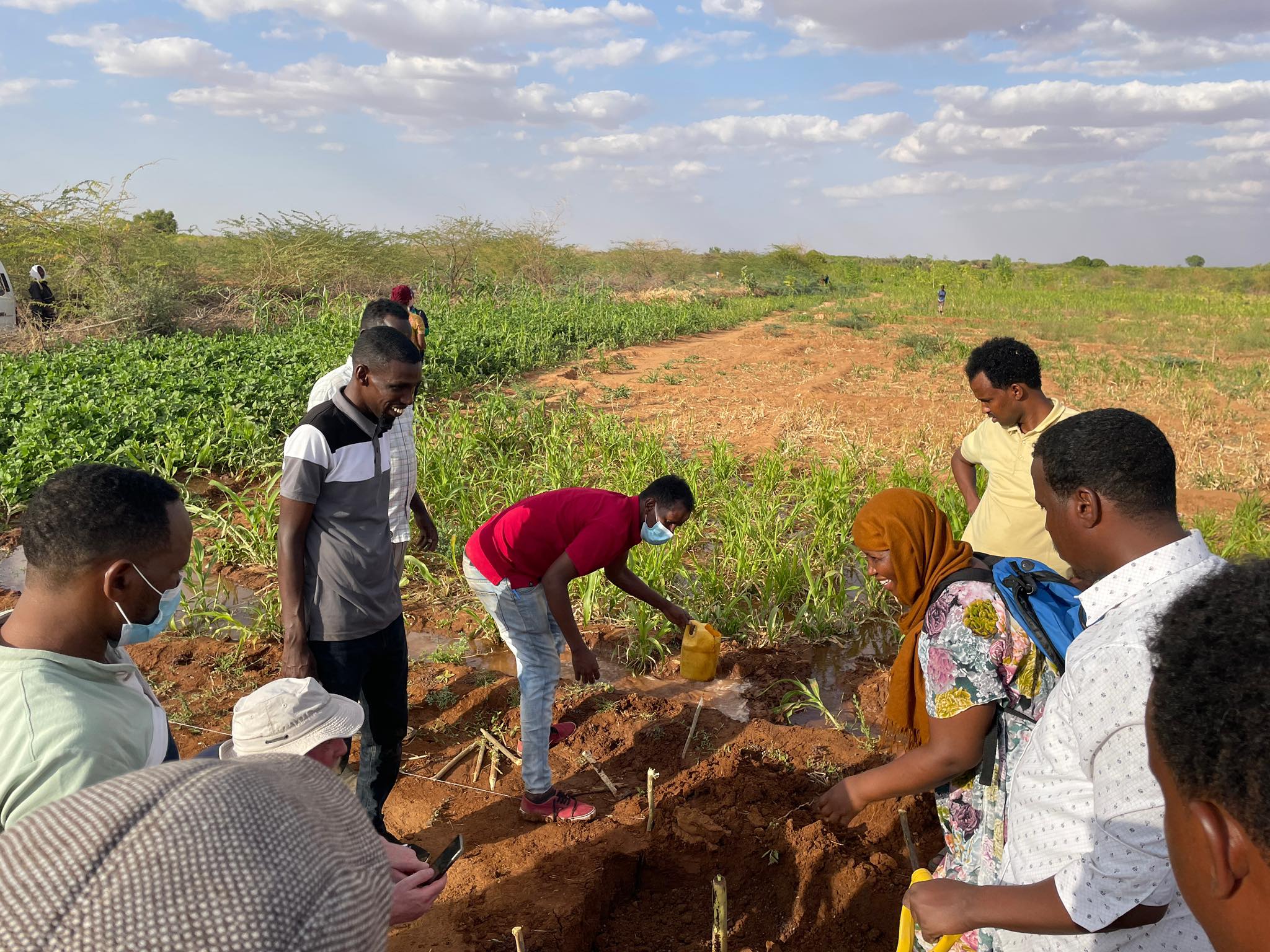 Irish Aid Examples 'They’re buying into it': How Irish Aid is transforming farming in ...