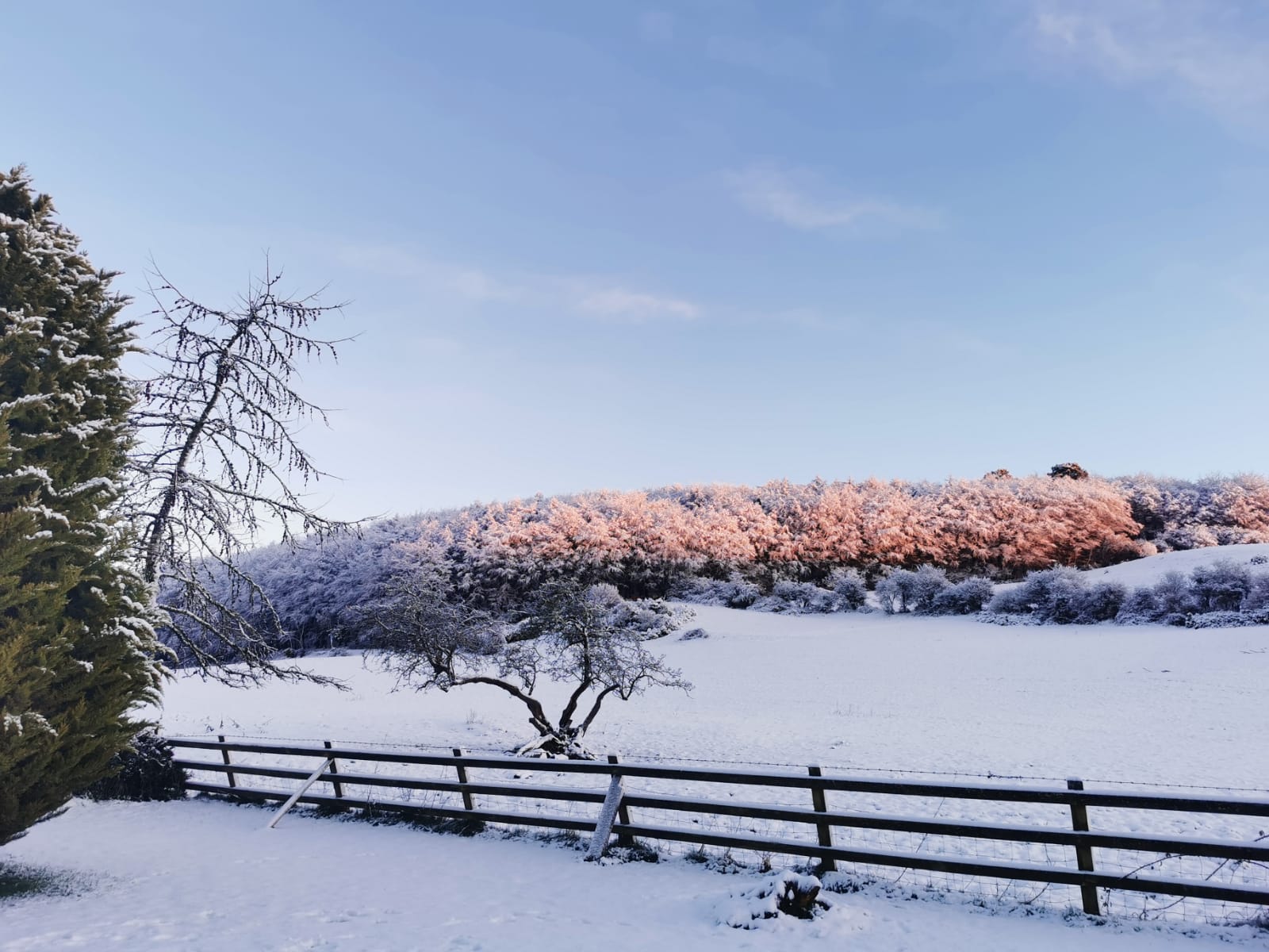 Parts of Ireland wake up to beautiful snow cover. 