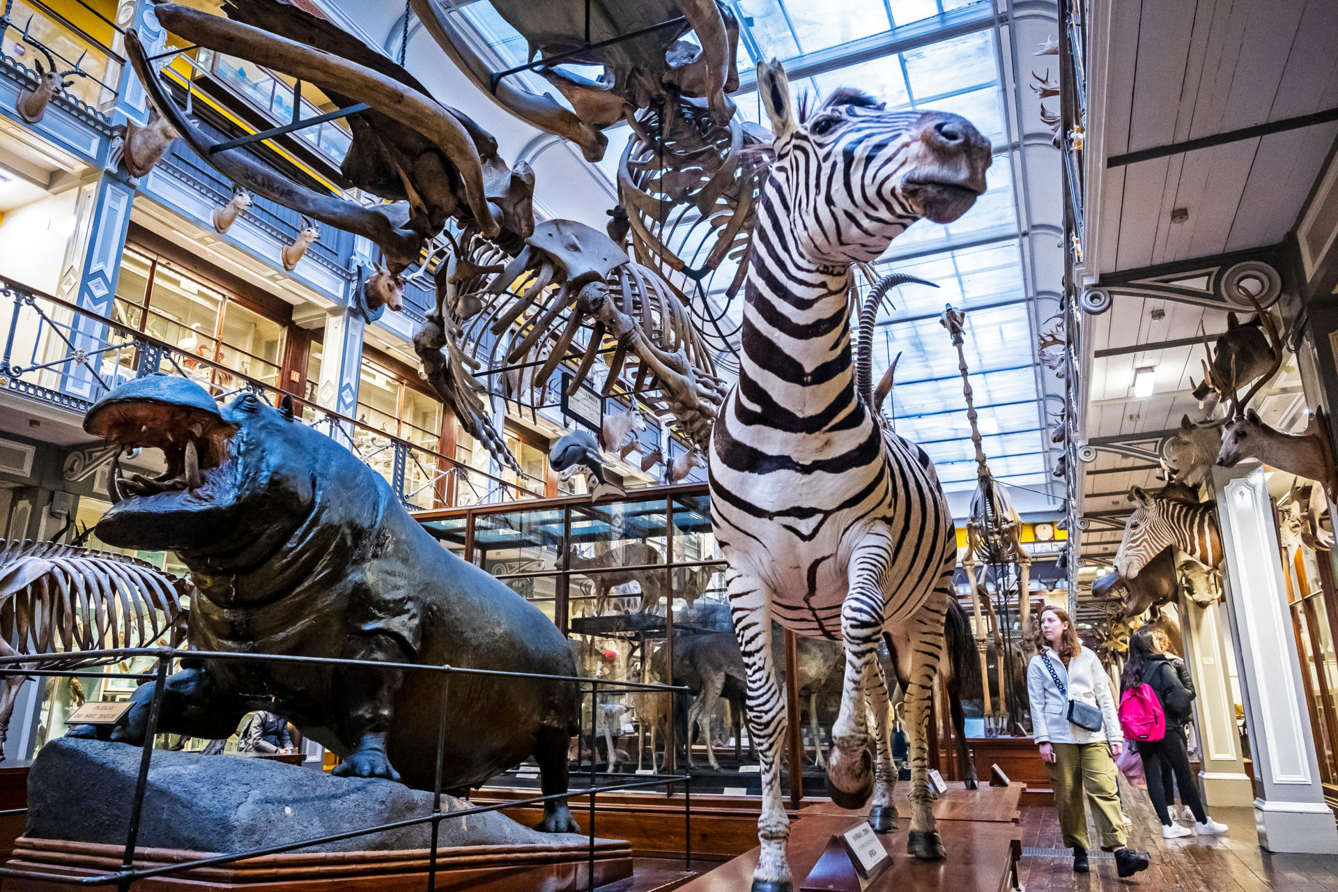 File photo of the Natural History Museum in Dublin.