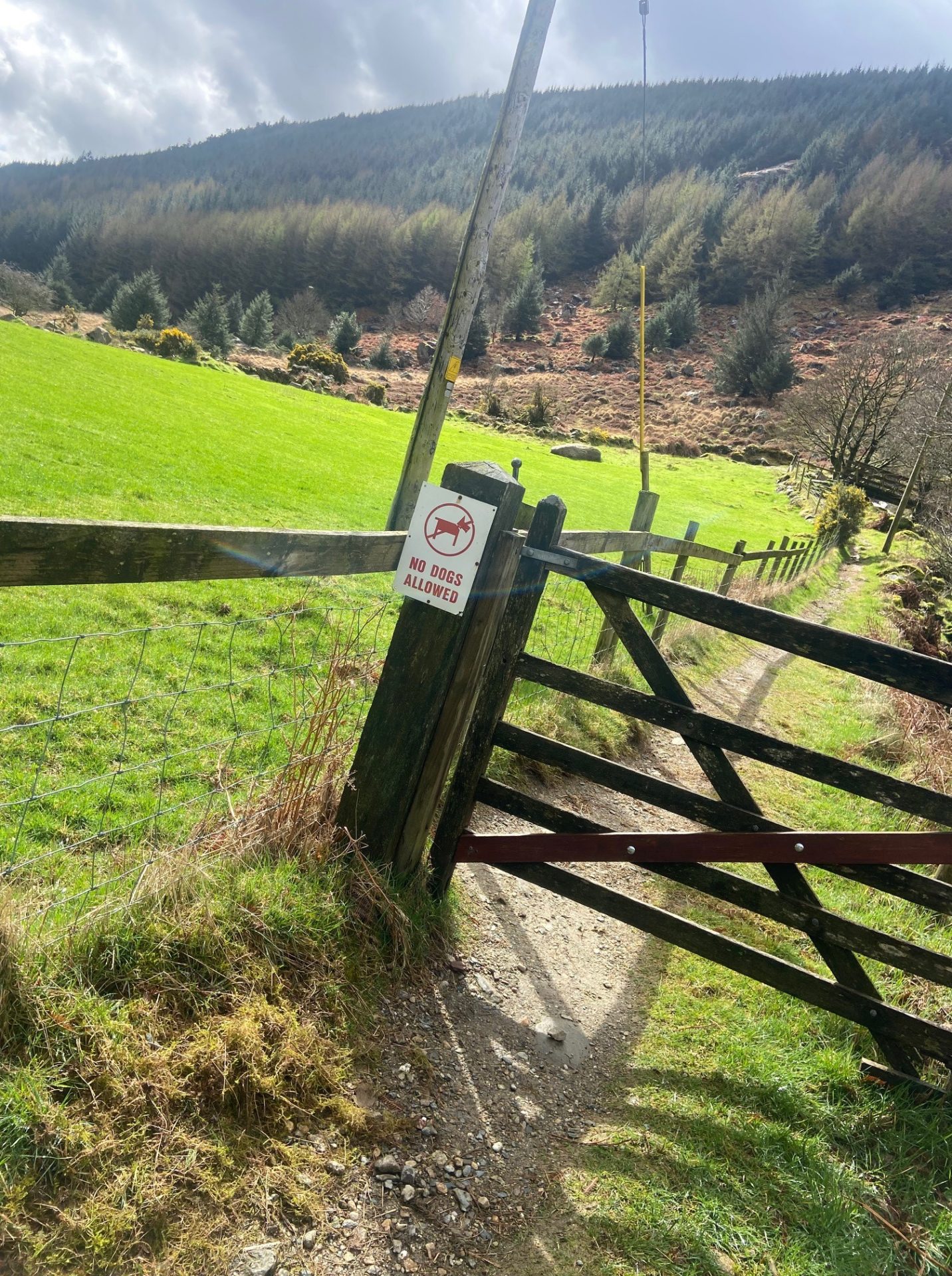 No Dogs Sign on the Zig Zags trail in Co Wicklow