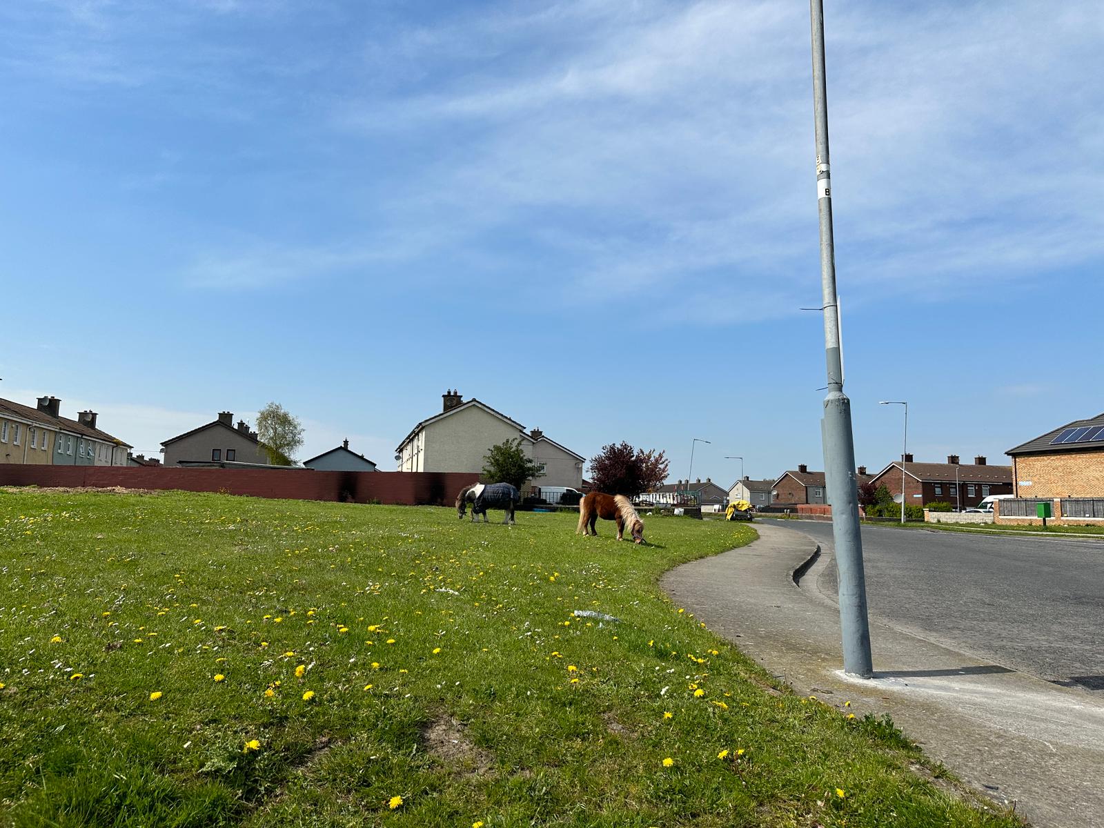 Cherry Orchard's anti-social behaviour group to 'undo generations of disadvantage' - Vimarsana News