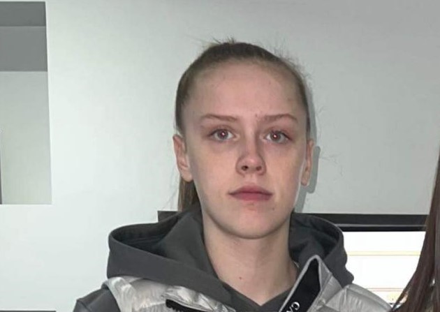 Teenage Girl Reported Missing From Her Dublin Home - Vimarsana News