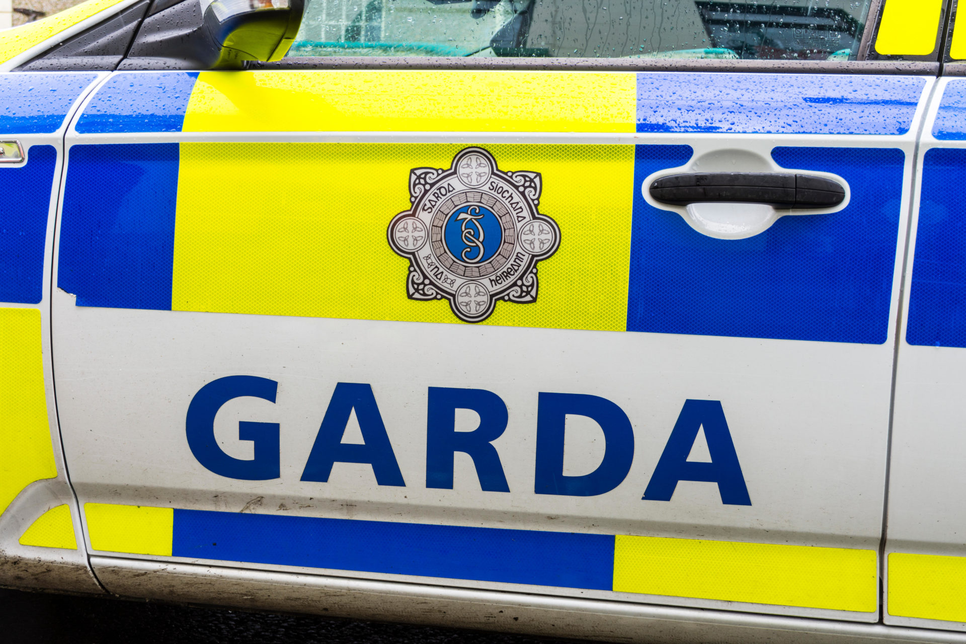 Man in His 20s Dies In Road Crash In Co Kildare
