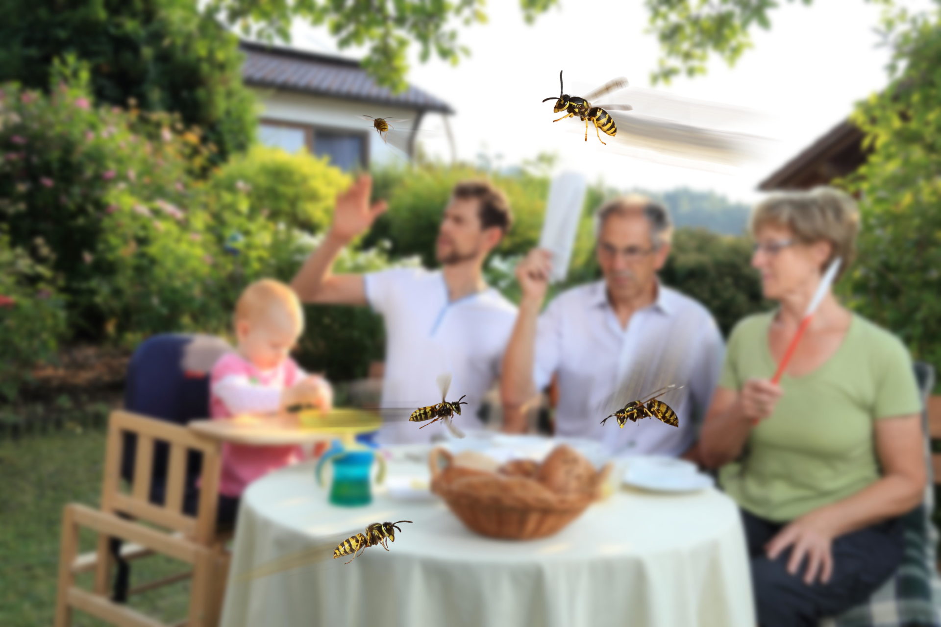 A family having a picnic as wasps approach 