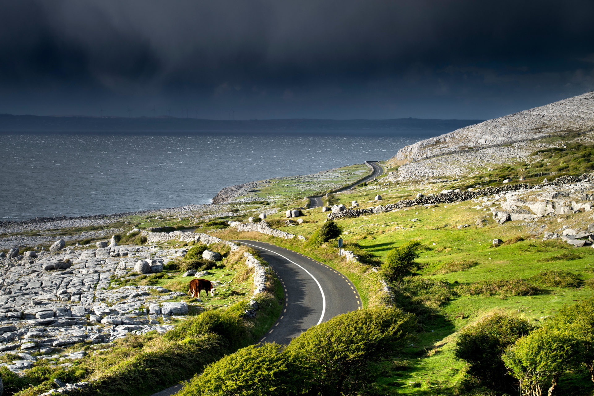 Remote working gives West of Ireland 'best opportunity' for renewal - Vimarsana News