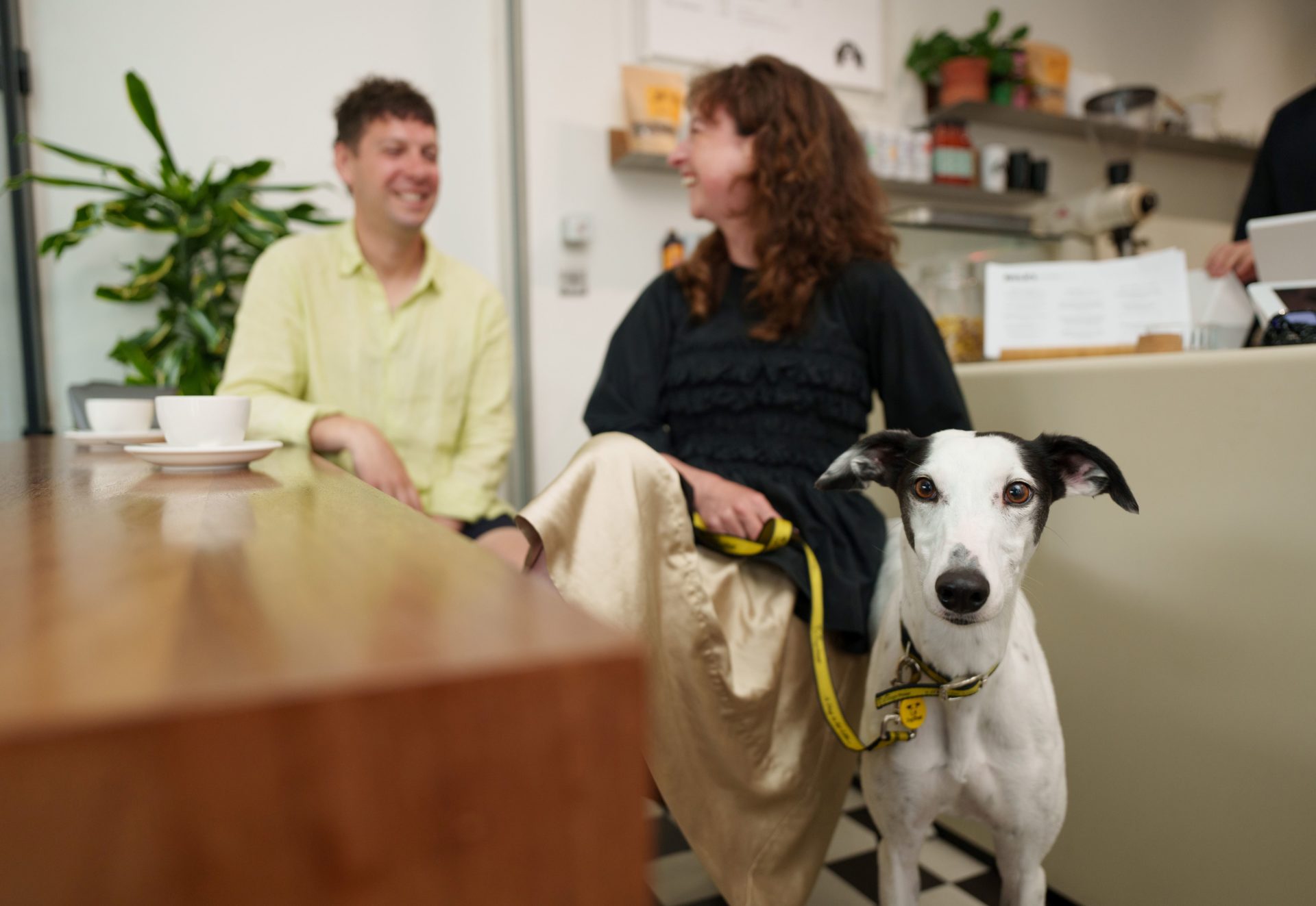 ‘Pet-friendly cafes? No, thanks—the only animals I want to see in a restaurant are on a plate’ - so says Newstalk's Sinead Ryan. 