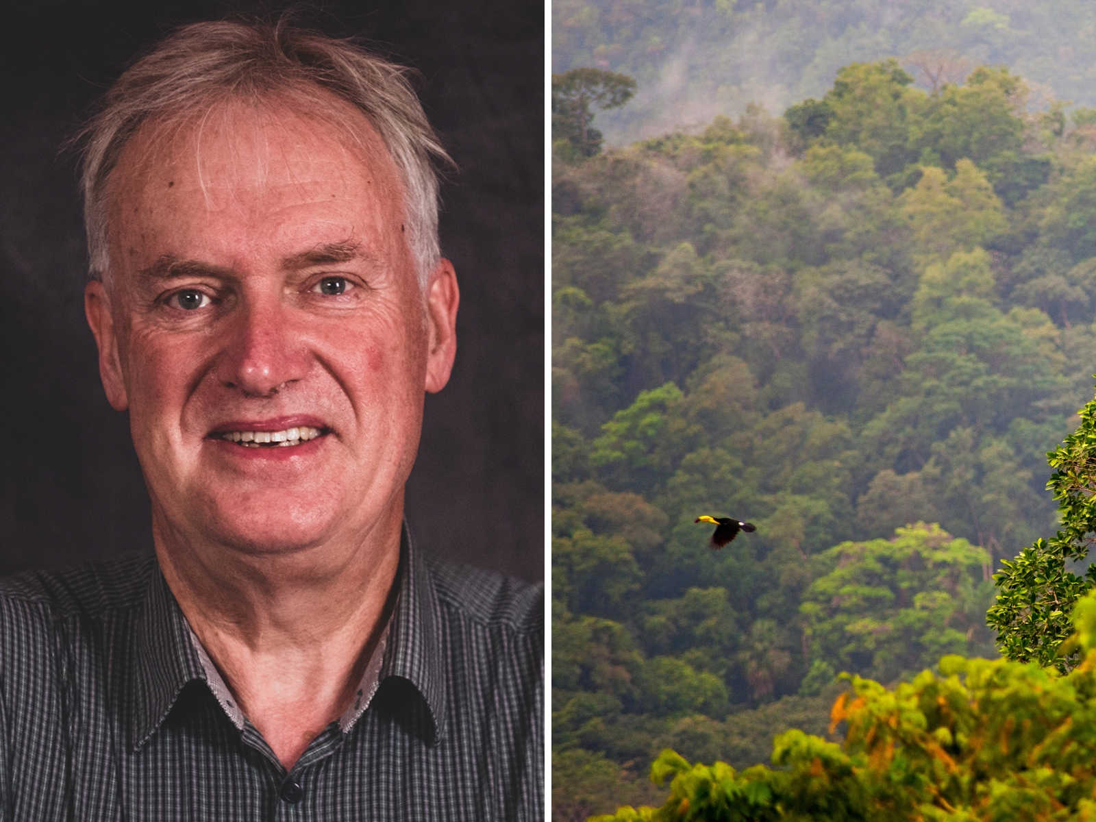 Luke O'Neill: Vaccine and public health measures may soon eliminate malaria - Vimarsana News