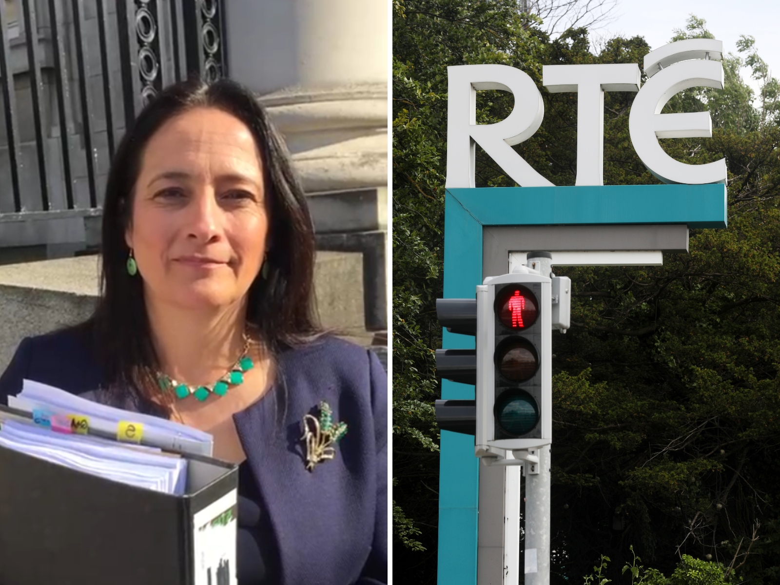 Mihelle Fitzpatrick Rte 'Totally Unacceptable' Release Of Information As RTÉ Officials Head For ...