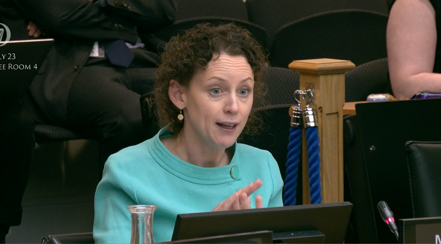 Senator Marie Sherlock at the Oireachtas Sports committee yesterday (Photo by Oireachtas T