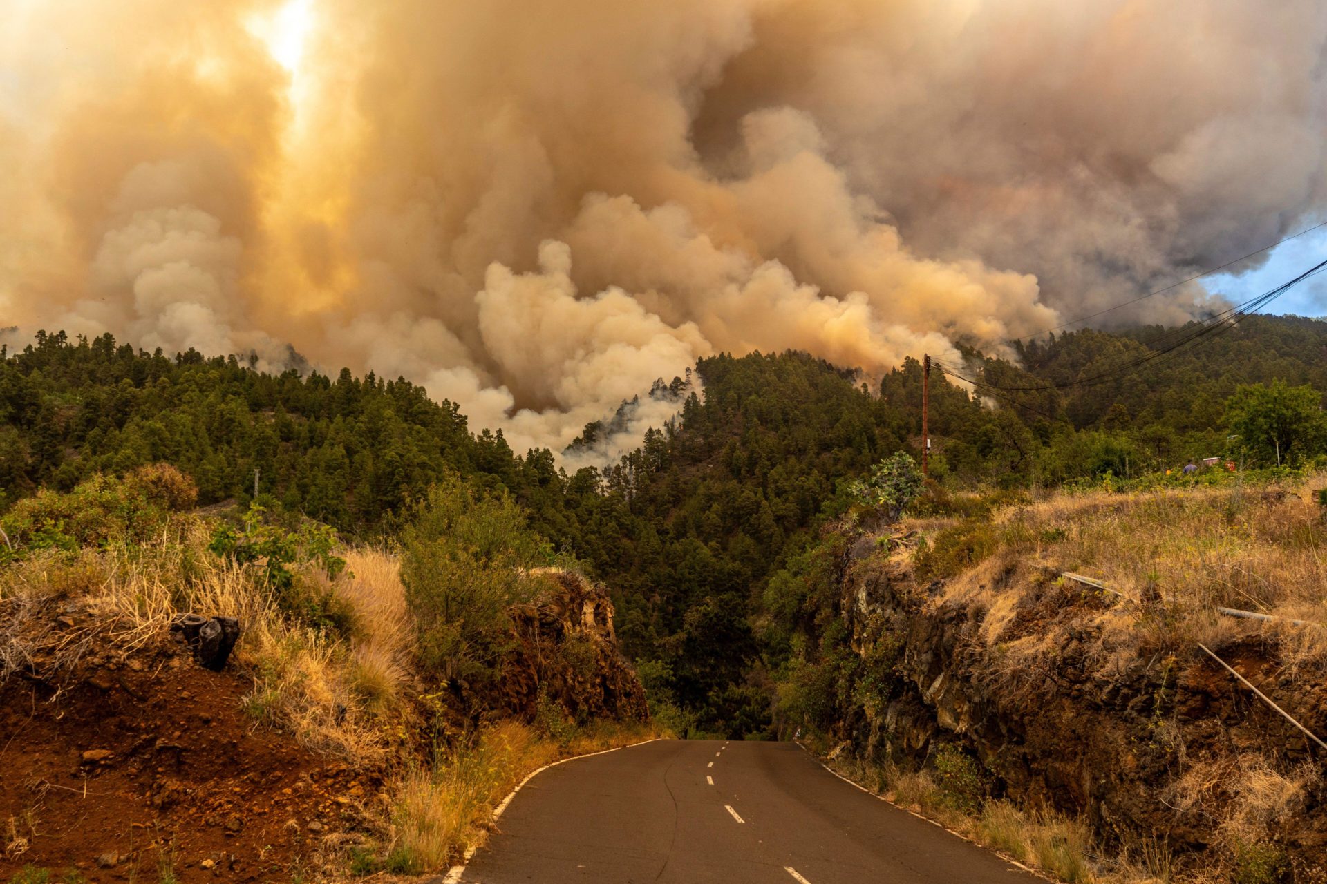 Smoke caused by the forest fire declared in La Palma