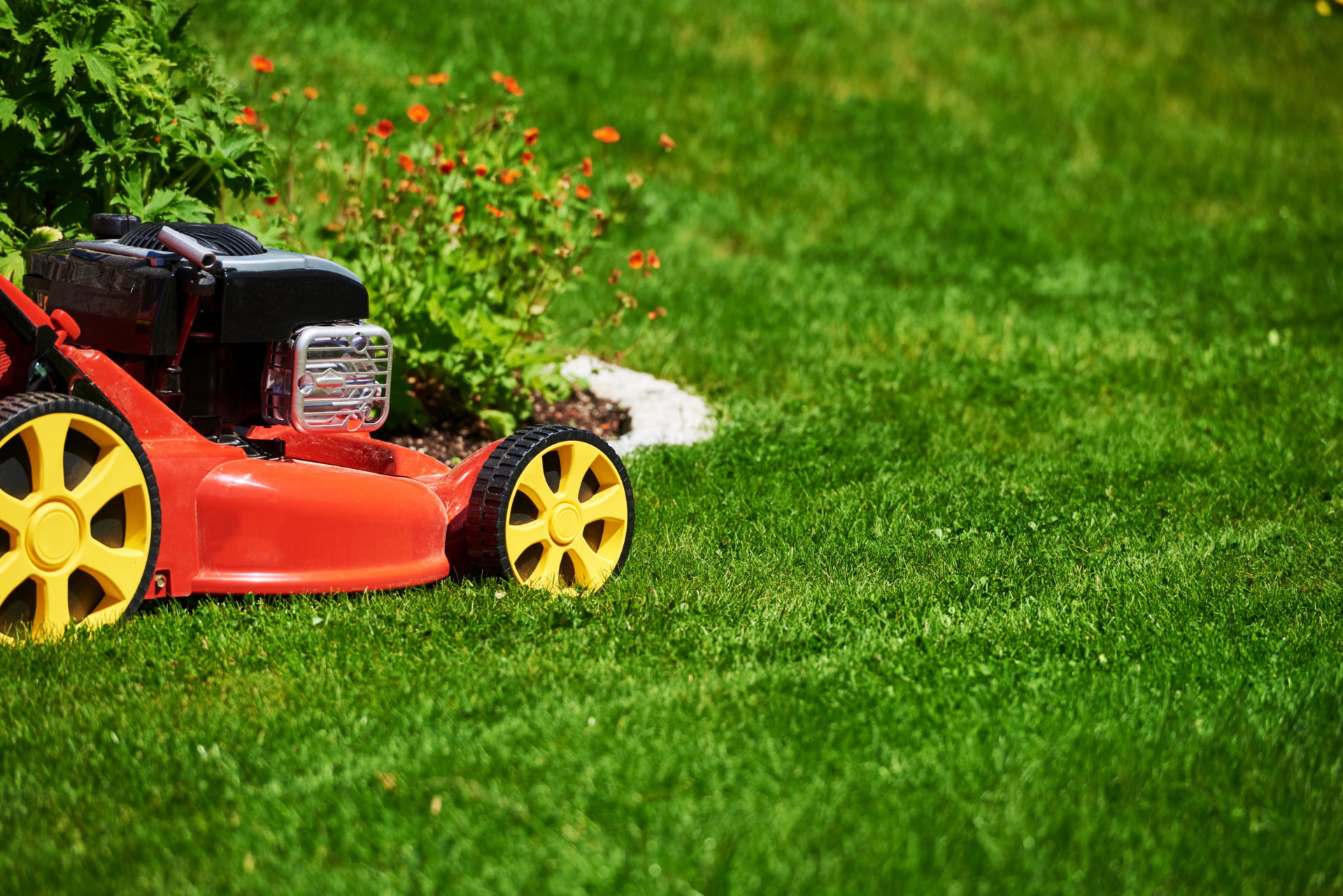 lawn-mowing-early-on-a-sunday-very-disturbing-and-should-be-avoided