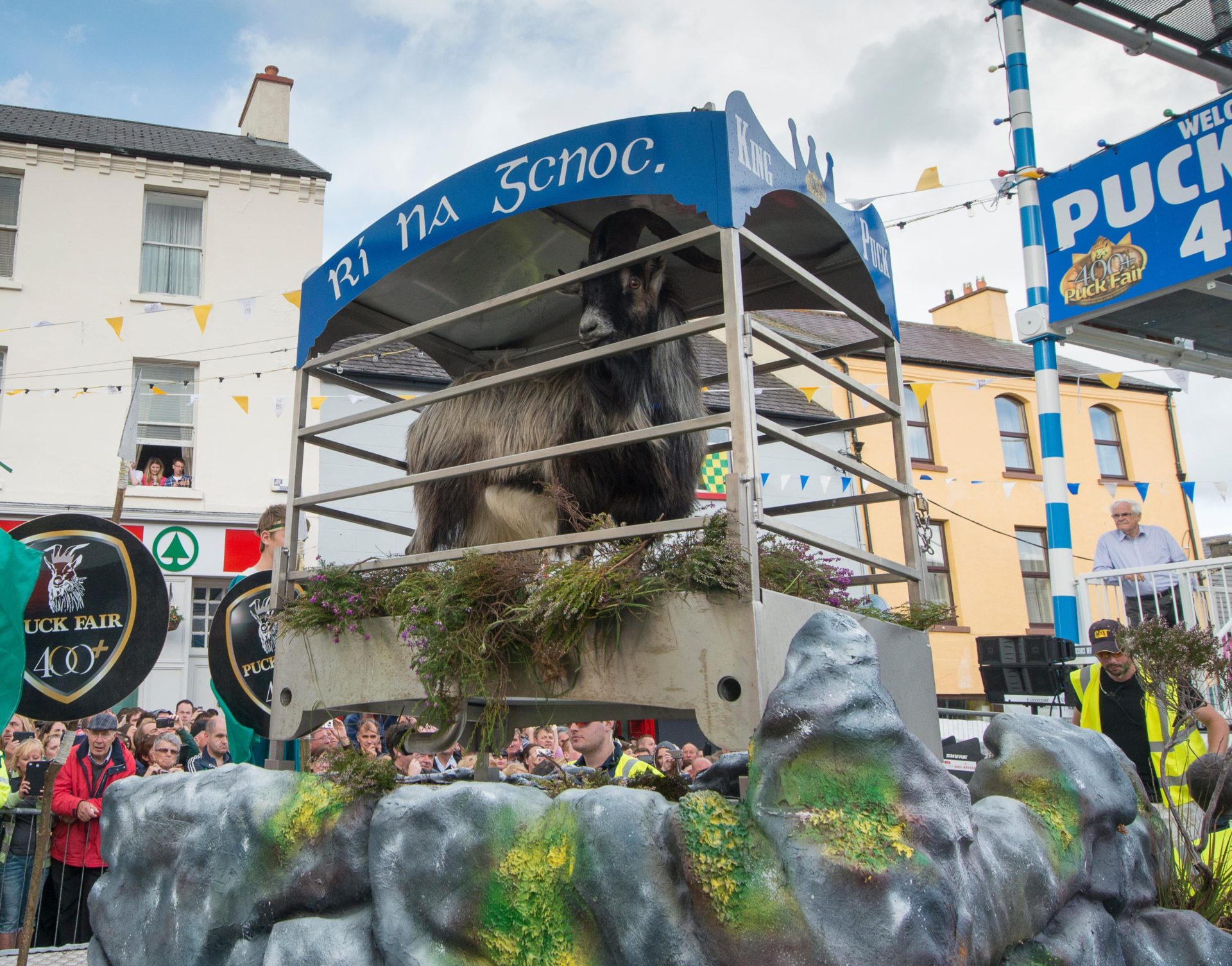 King Puck during the 2014 Puck Fair in Killorglin, Co Kerry.