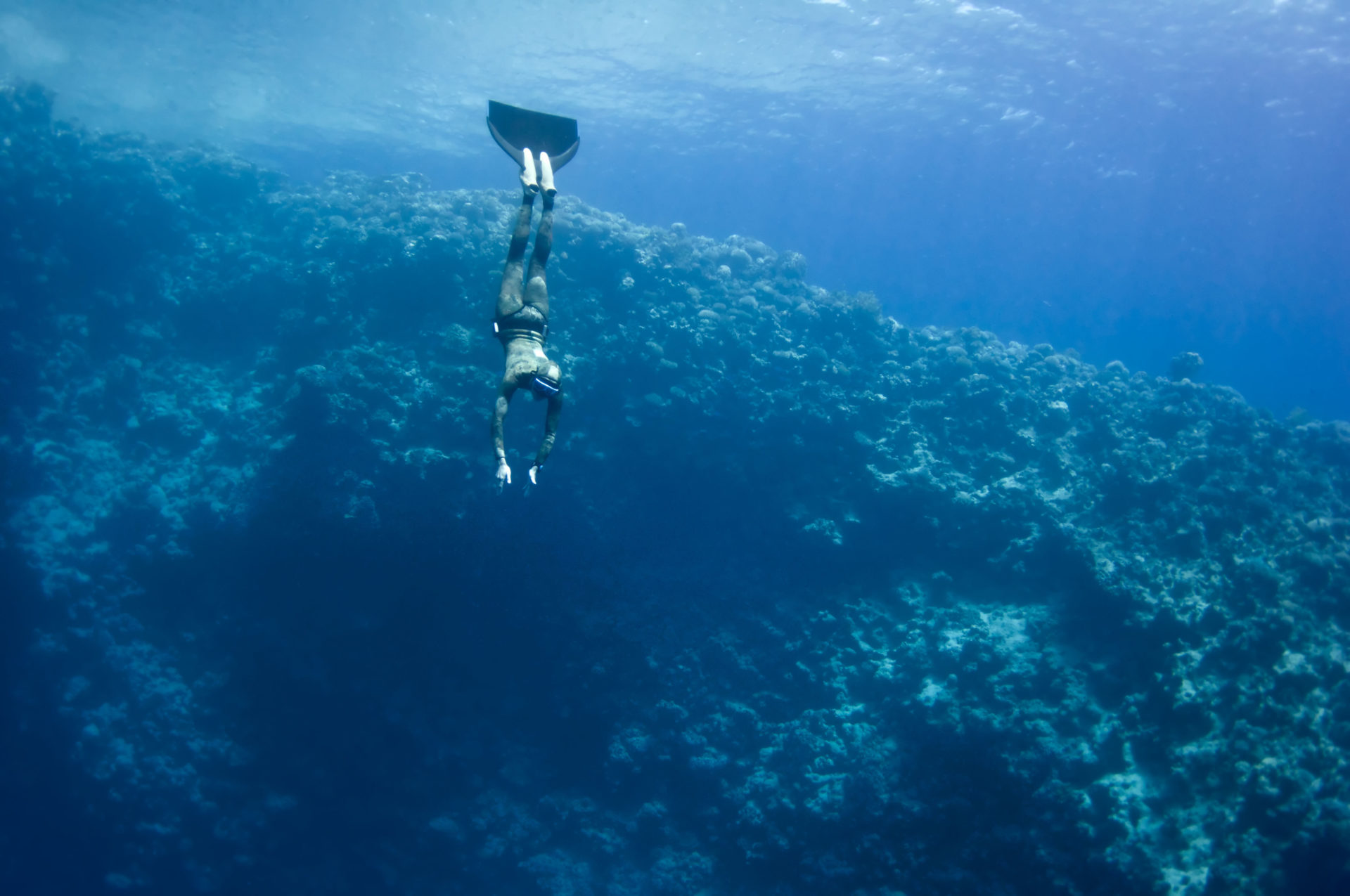 The freediver moves underwater near the coral reef at the depth of Blue Hole, Egypt