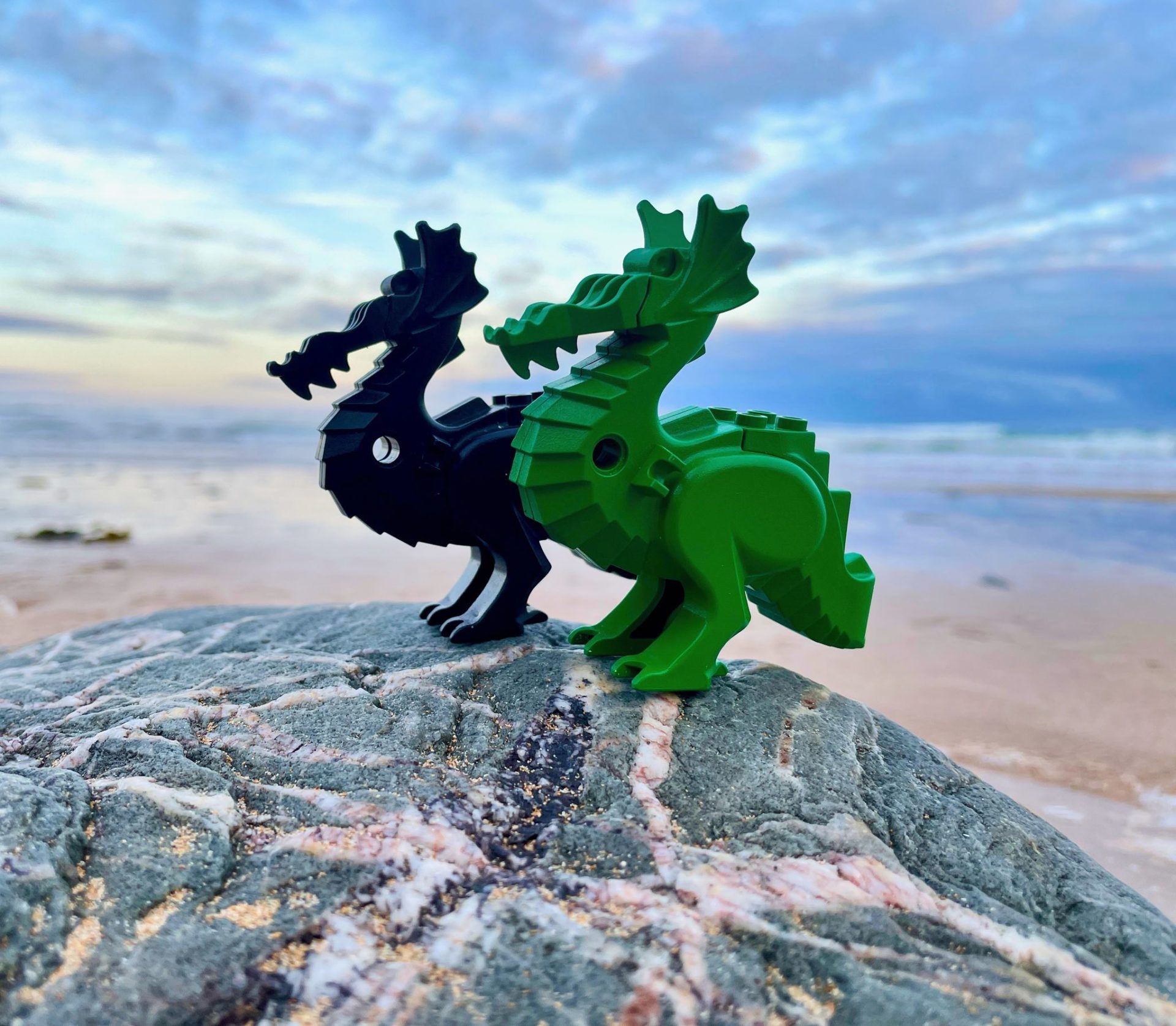 Some of the lost Lego pieces that have washed up on beaches