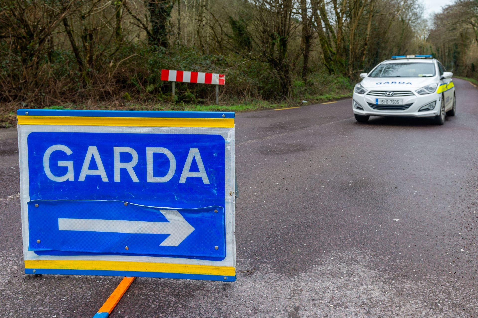 Garda at the scene of a road crash