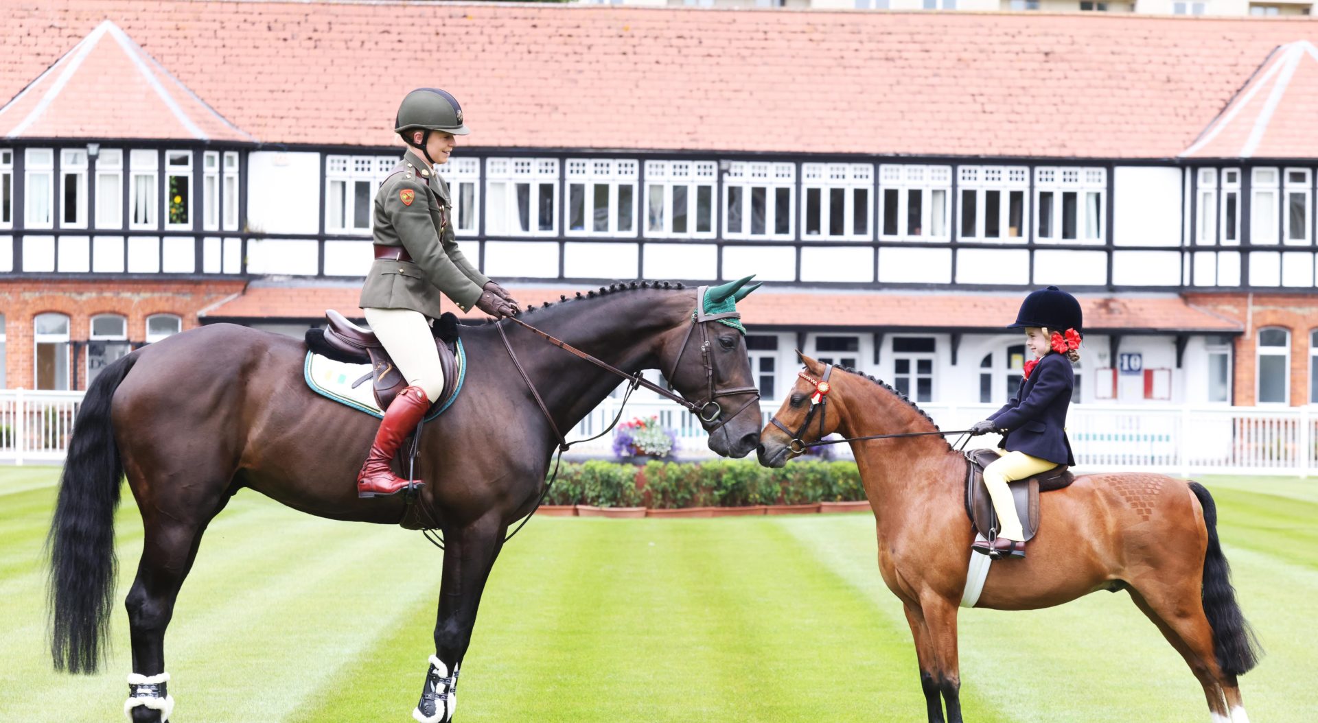 Dublin Horse Show Horses worth Over A Billion To The Economy Now 