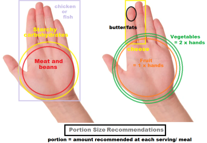 Portion sizes explainer