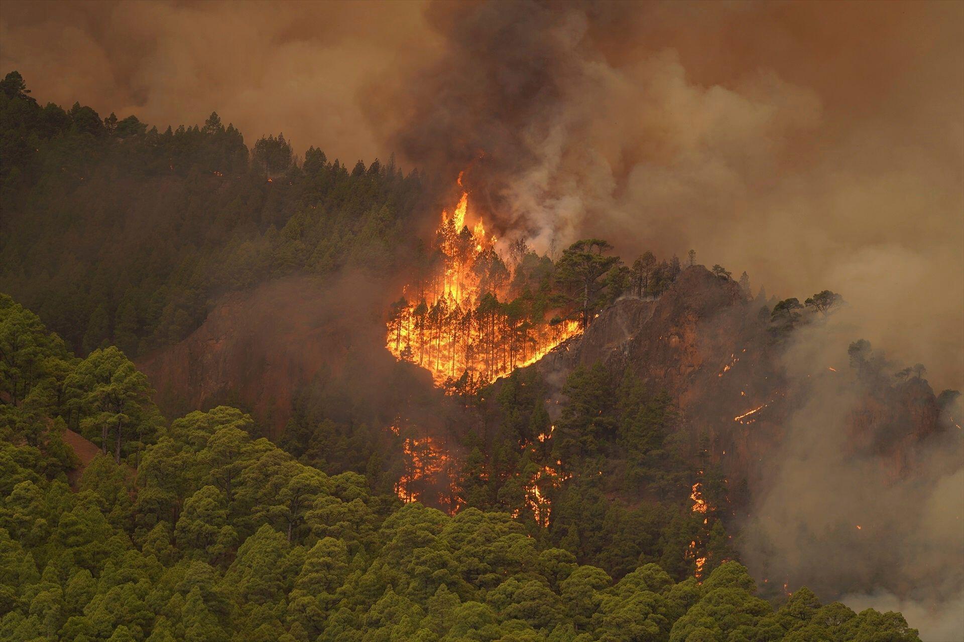 Tenerife wildfires 'most complicated fires in 40 years' - Vimarsana News