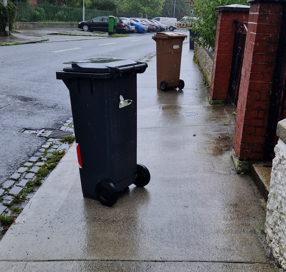 Bins on a path in Dublin