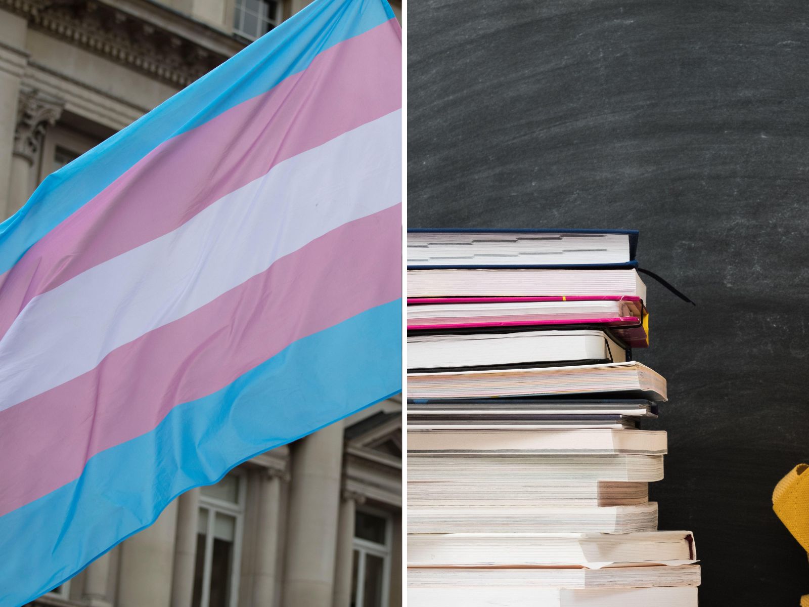 Man whose son transitioned wants gender identity taught in schools ...