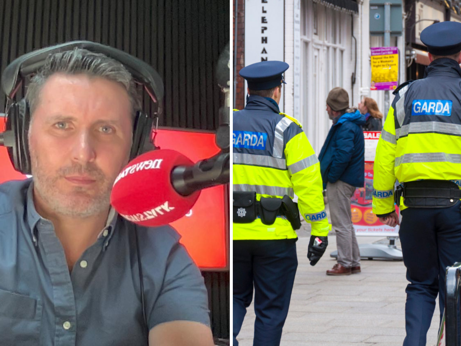 Garda no-confidence motion 'potentially dangerous' for future of force: Healy - Vimarsana News