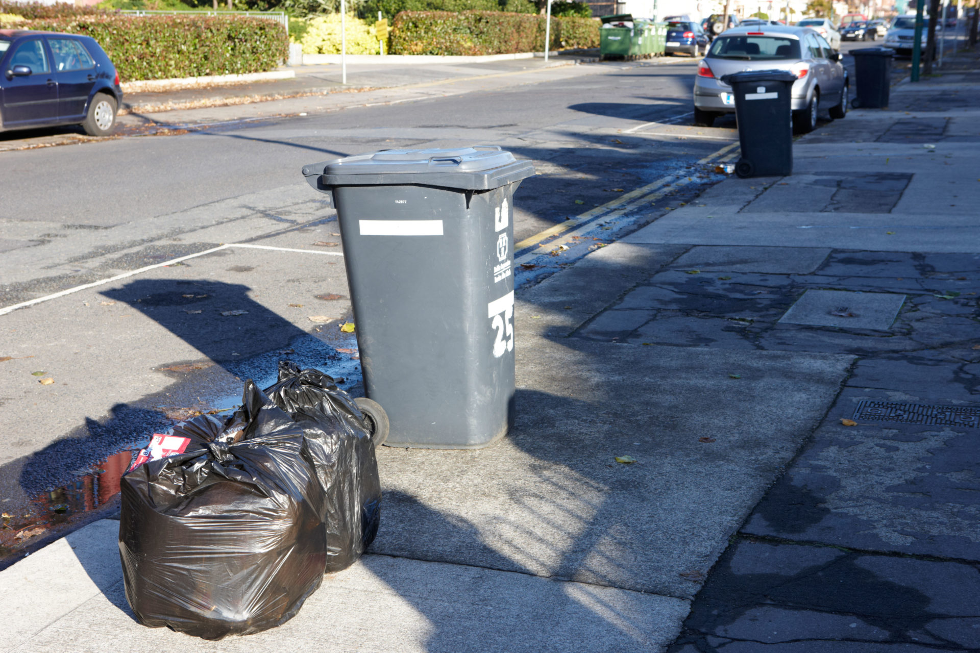 Call For Communal Underground Bins For Dublin