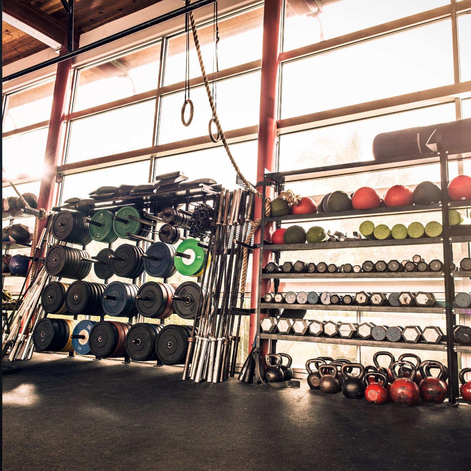 Should gyms open their doors to young teens?