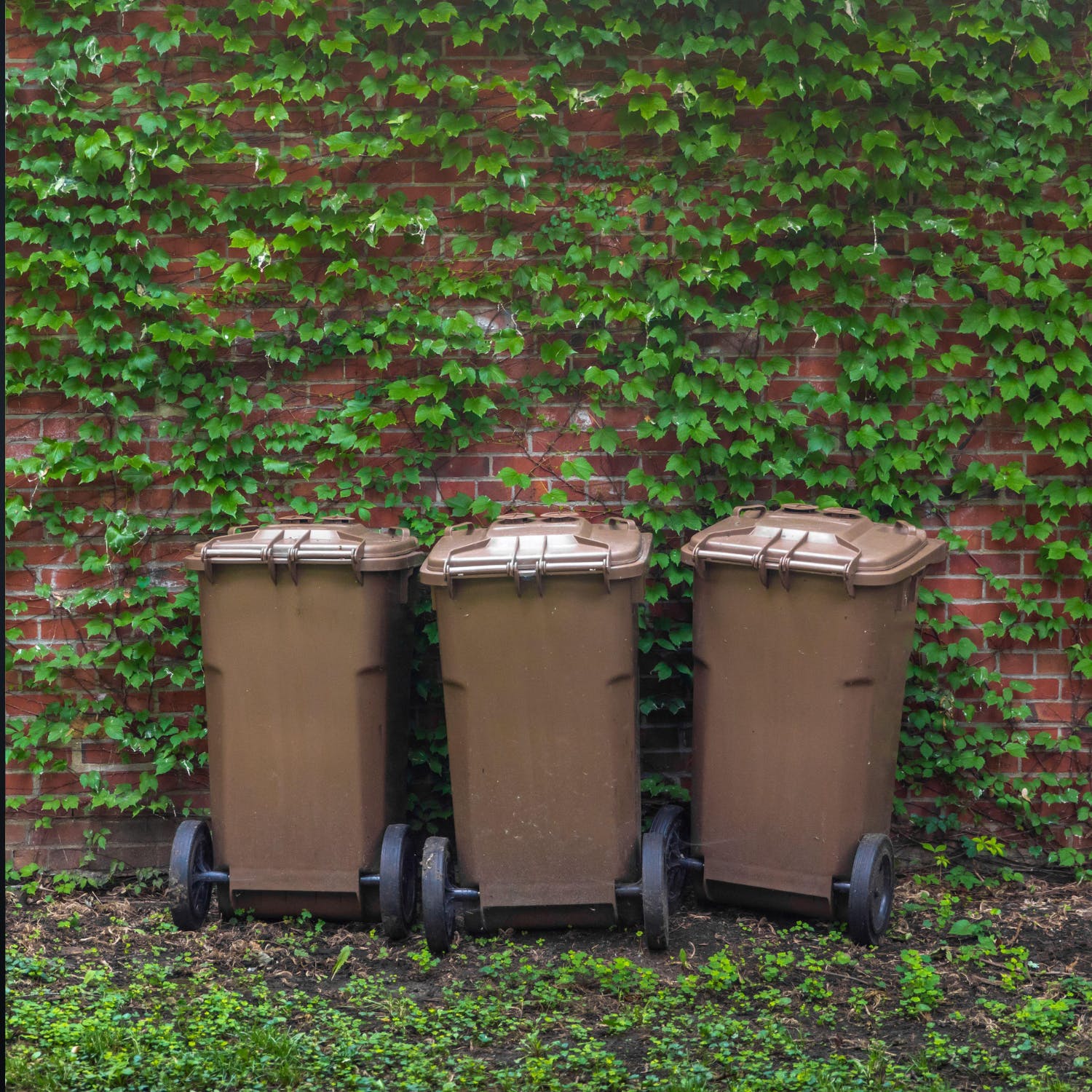 Most Bins are filled with the wrong waste episode artwork