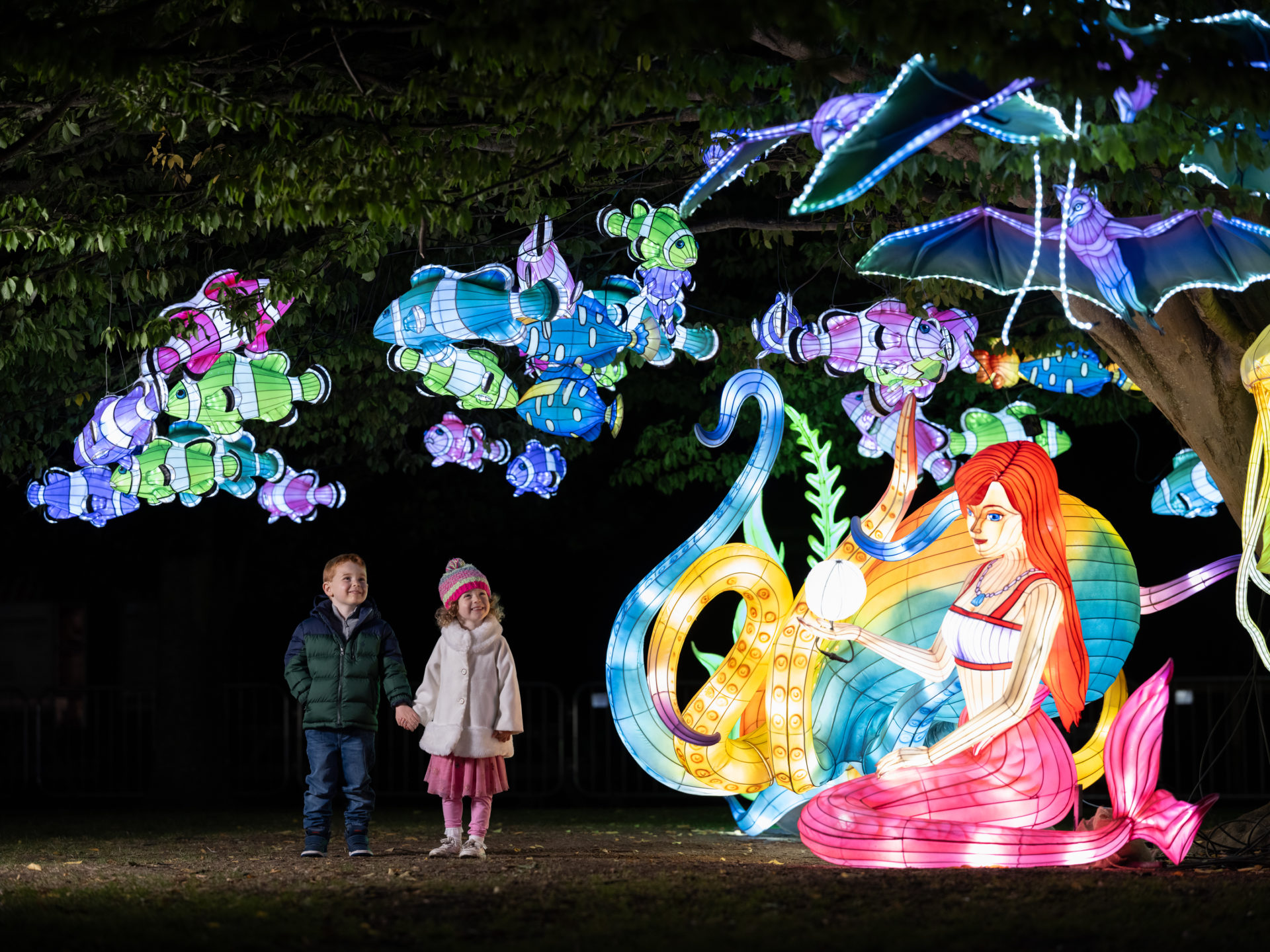 Wild Lights Is Coming Back To Dublin Zoo - Vimarsana News