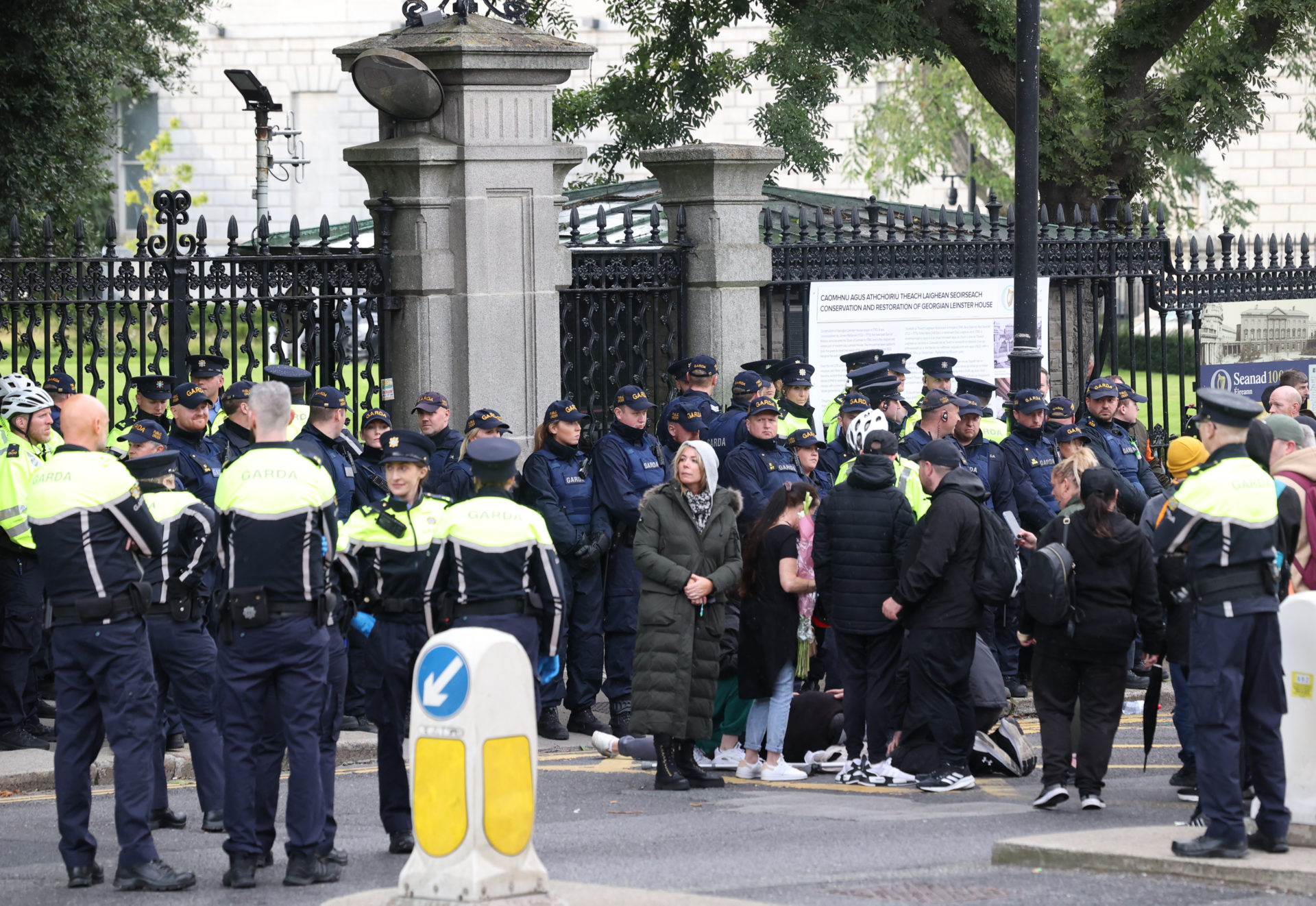 Gardaí confront protestors outside Leinster House