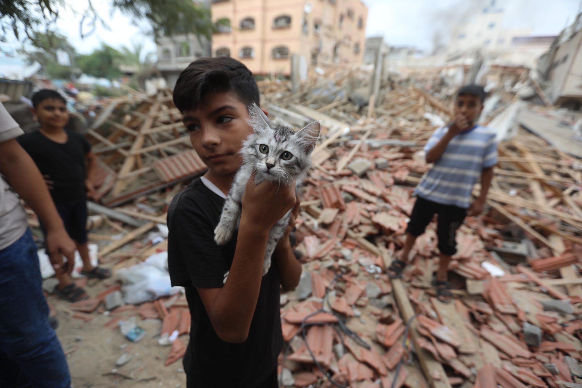 A boy with a cat in the damaged Al Shati Refugee Camp in the Gaza Strip on October 13th, 2023.