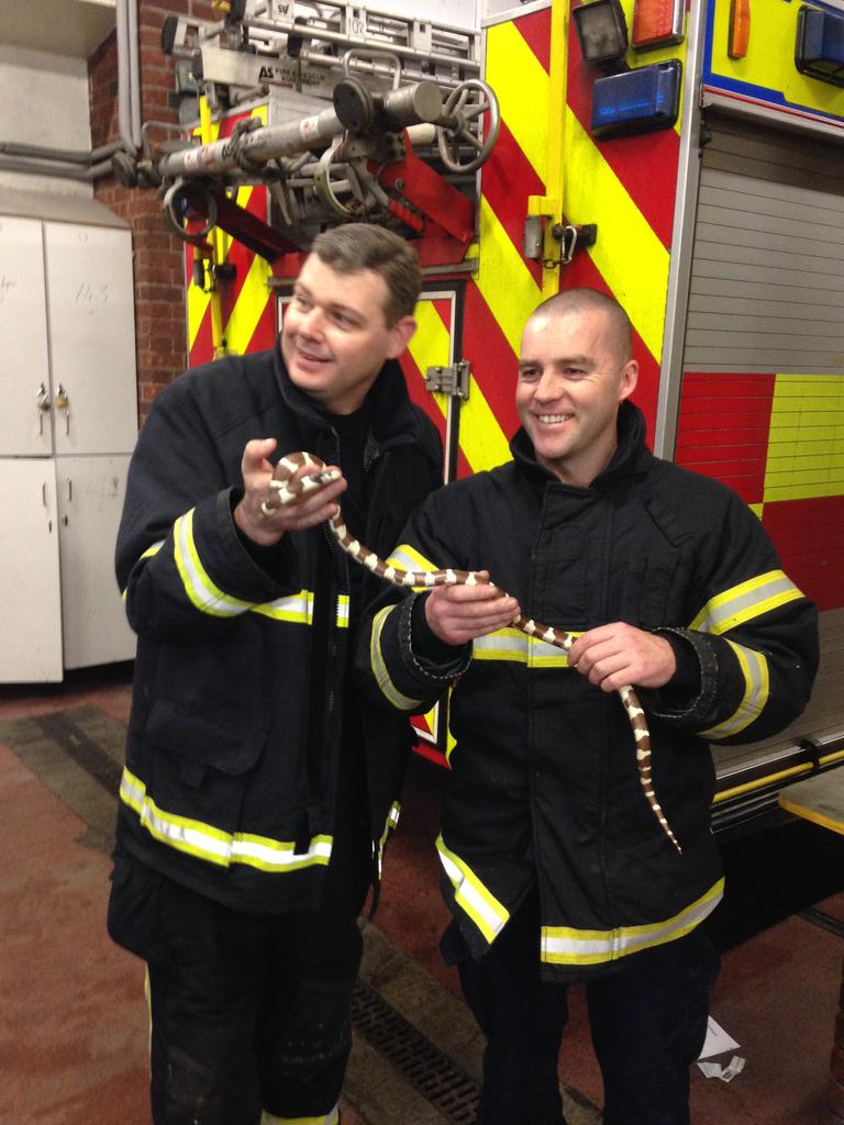Darren (right) in the strangest situation he's found himself in - with a snake