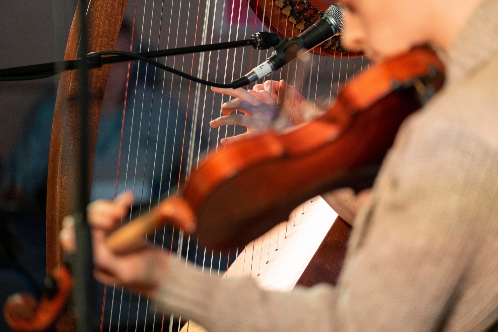 'Diddley-eye is hugely derogatory' - Defending Irish trad music - Vimarsana News