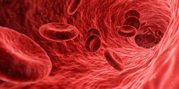 Cork Information Evening On Ireland's Most Common Genetic Disorder: Haemochromatosis - Vimarsana News