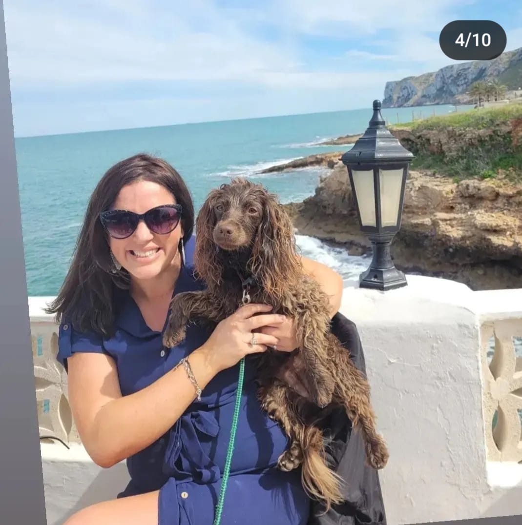 Ireland one of the 'least dogfriendly places' world traveller Newstalk