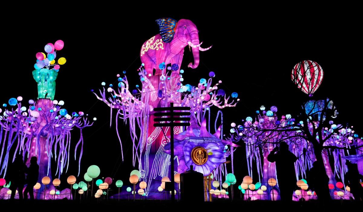 Put Wild Lights 2023 At The Top Of Your List For Things To Do In Dublin This Winter - Vimarsana News